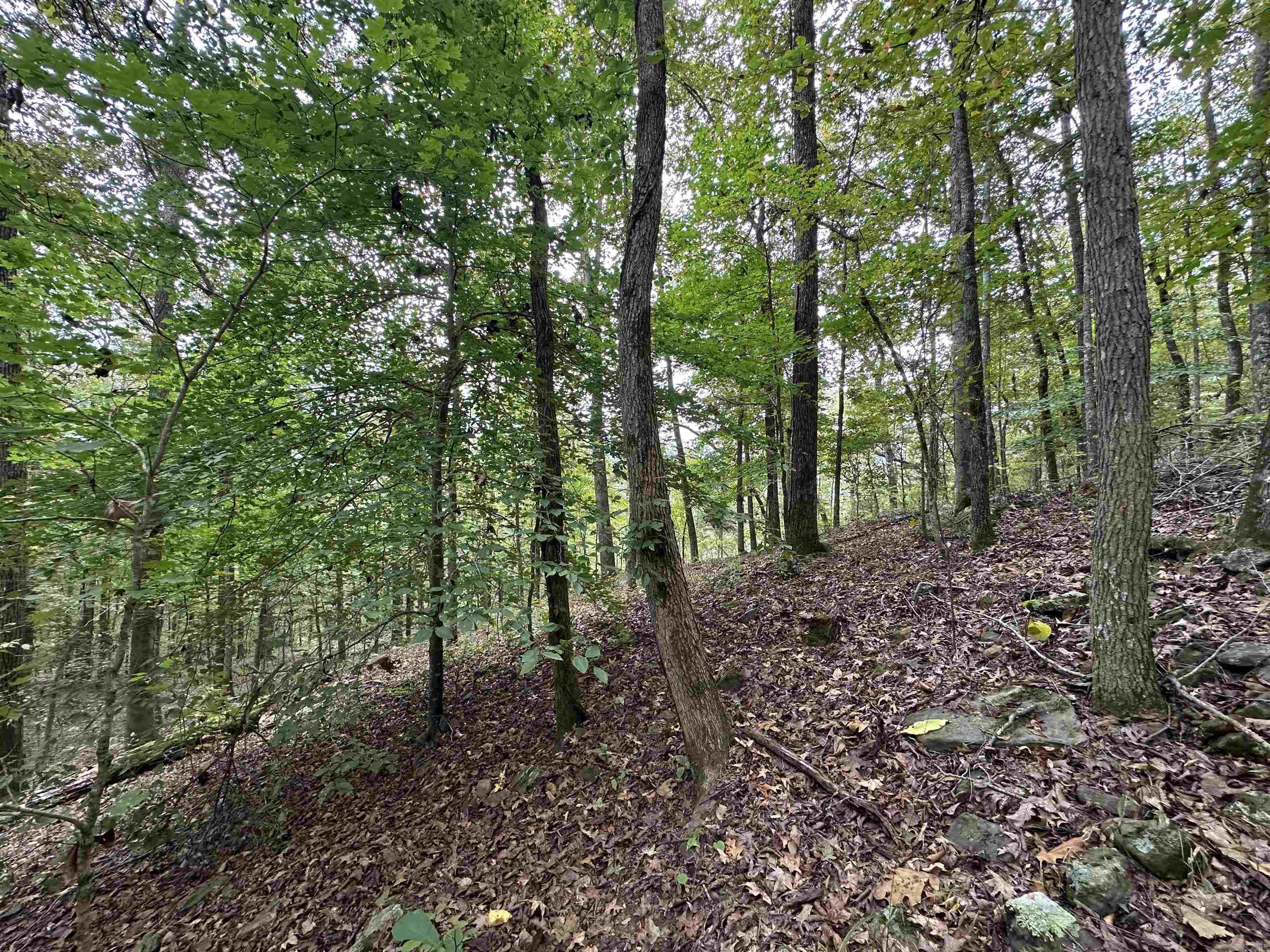 000 Nc 167 Property Photo 16