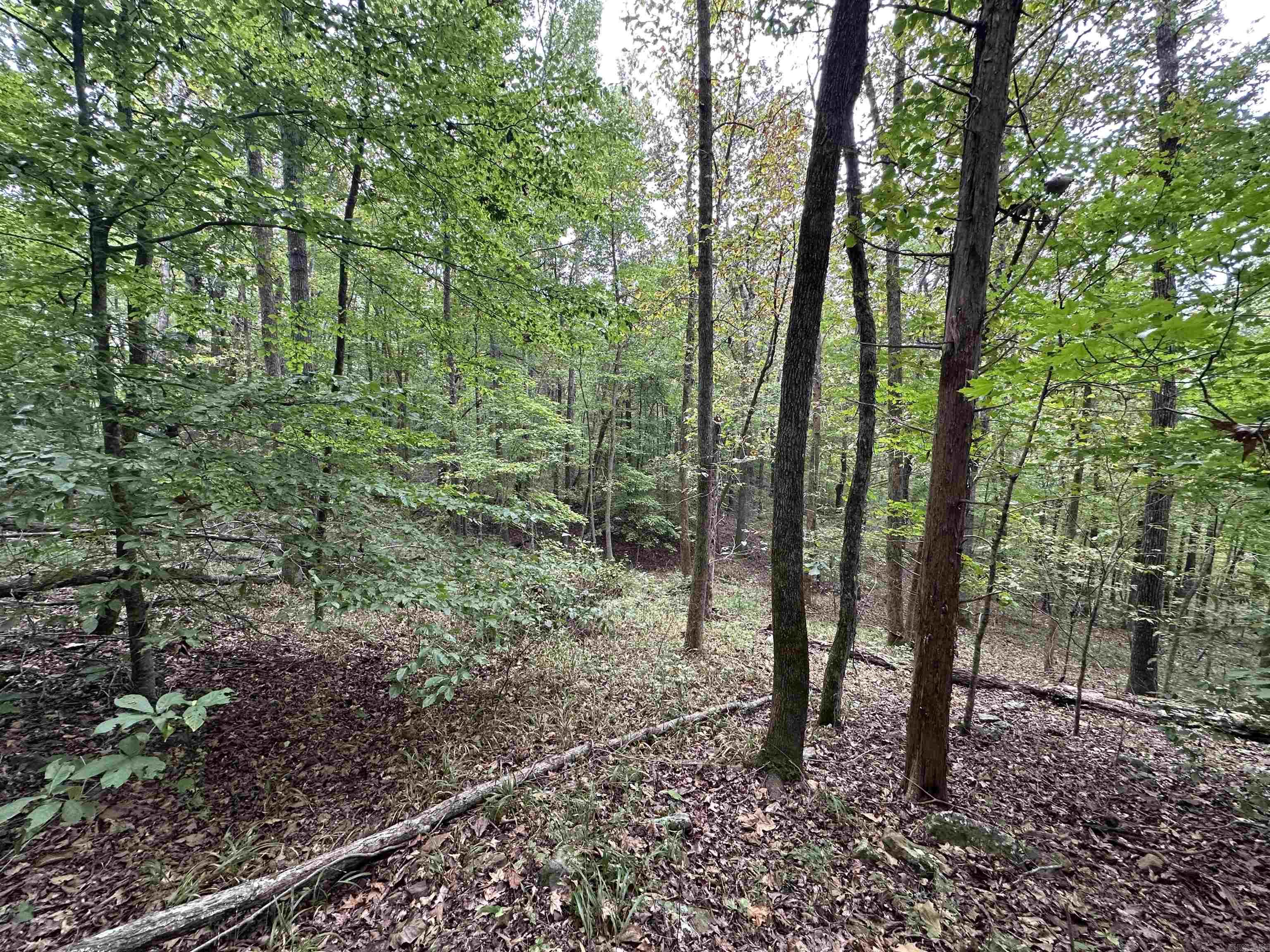 000 Nc 167 Property Photo 17