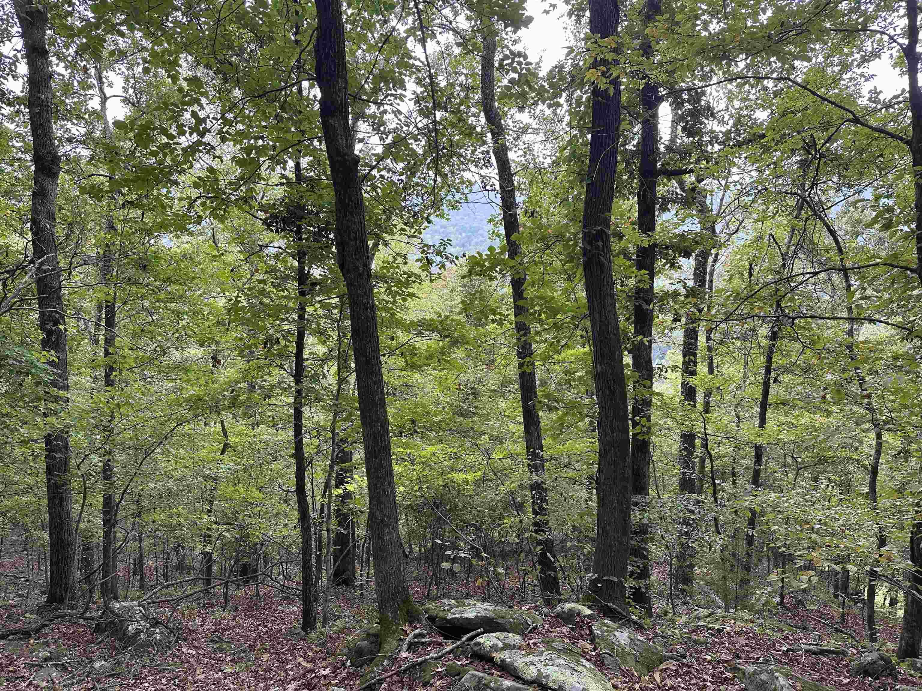 000 Nc 167 Property Photo 19