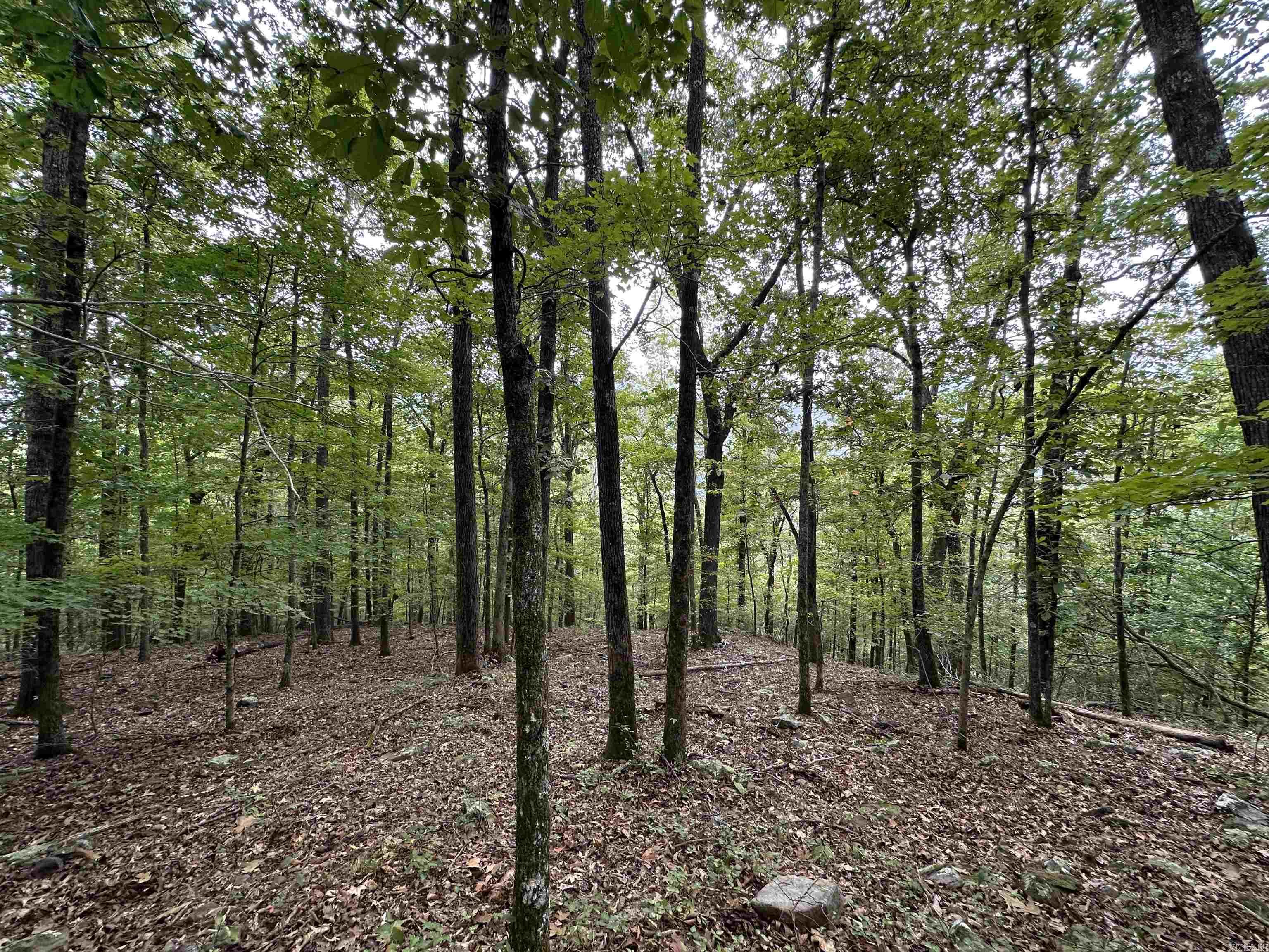 000 Nc 167 Property Photo 20
