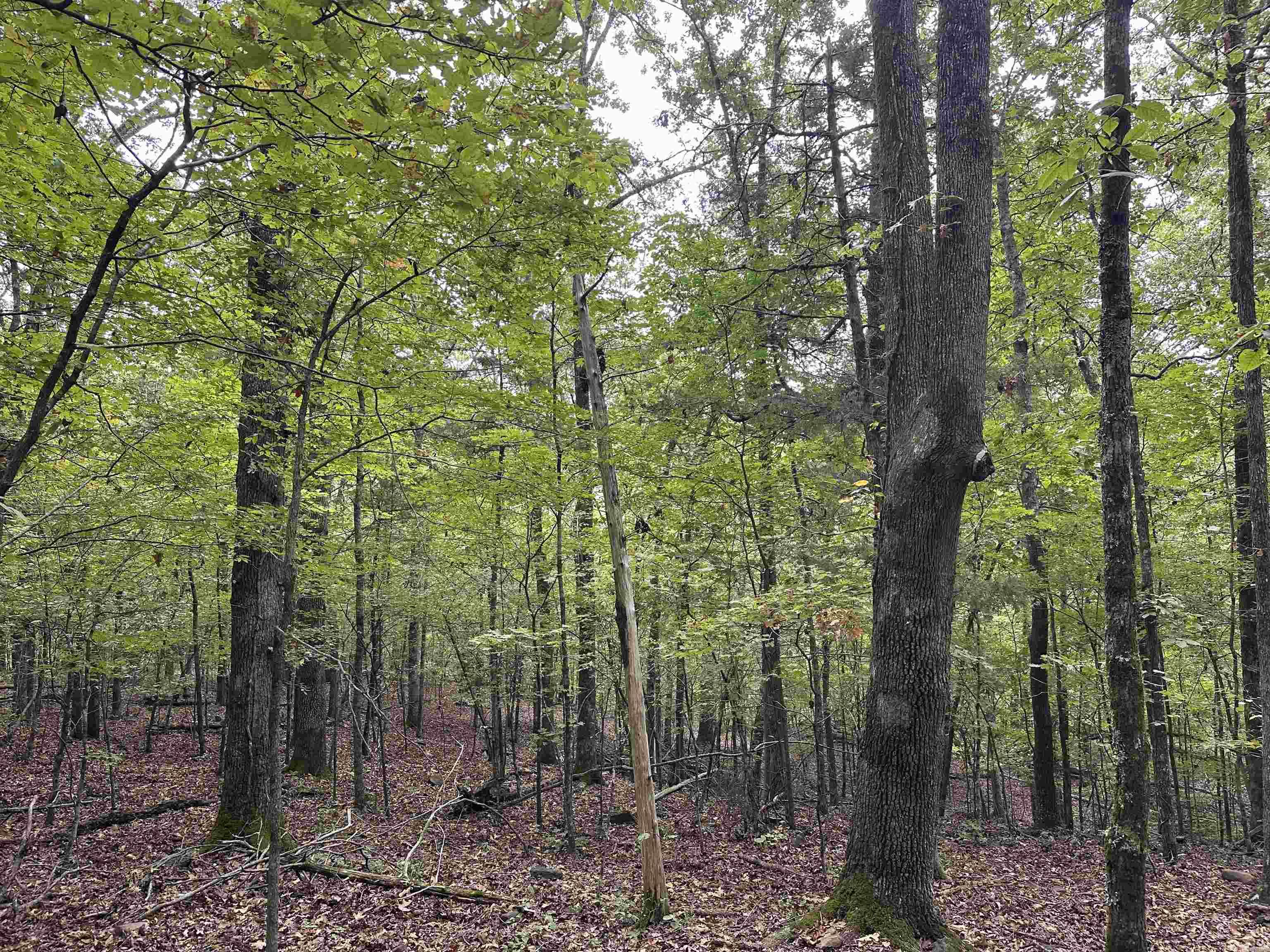 000 Nc 167 Property Photo 21