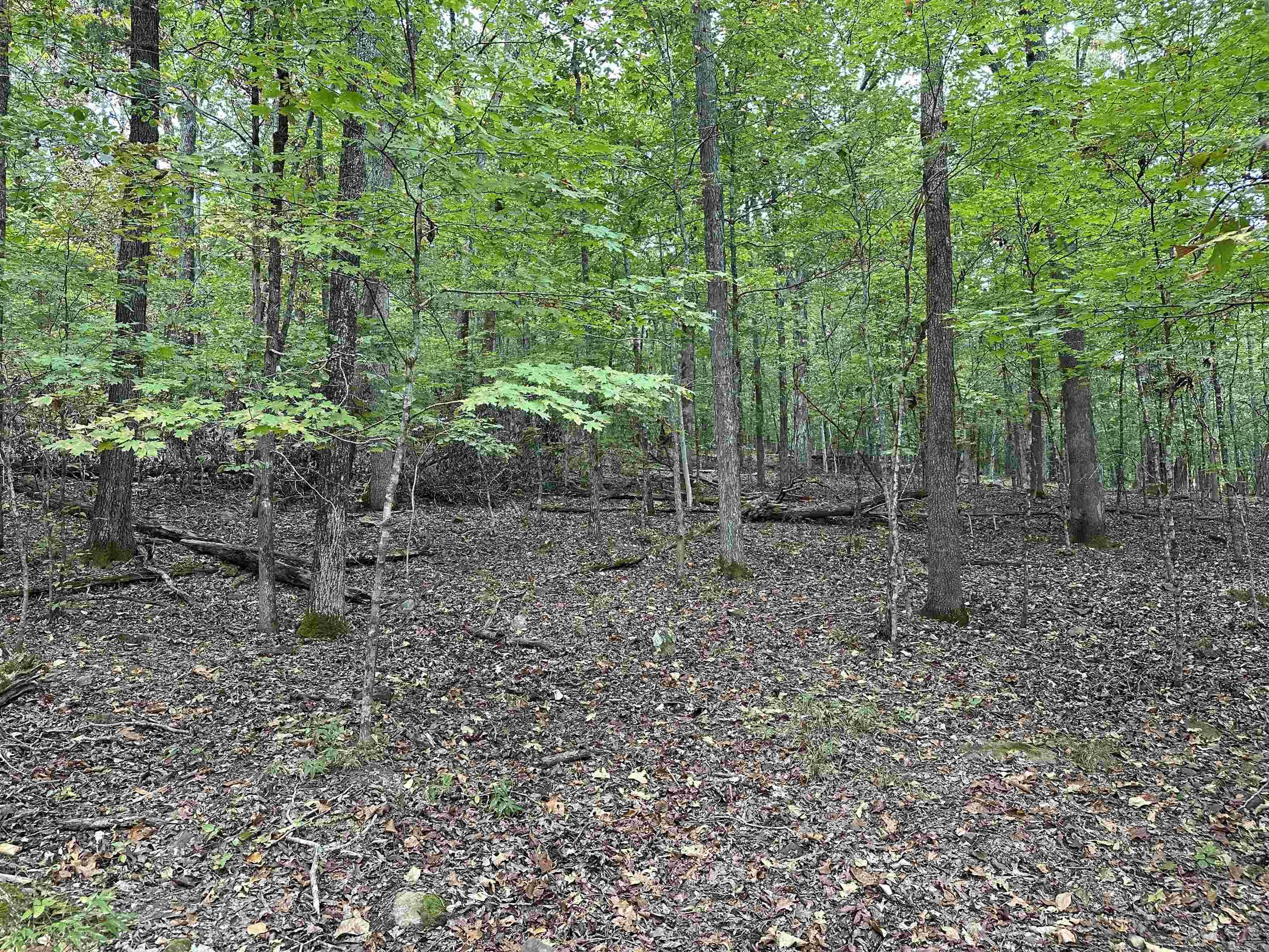 000 Nc 167 Property Photo 22