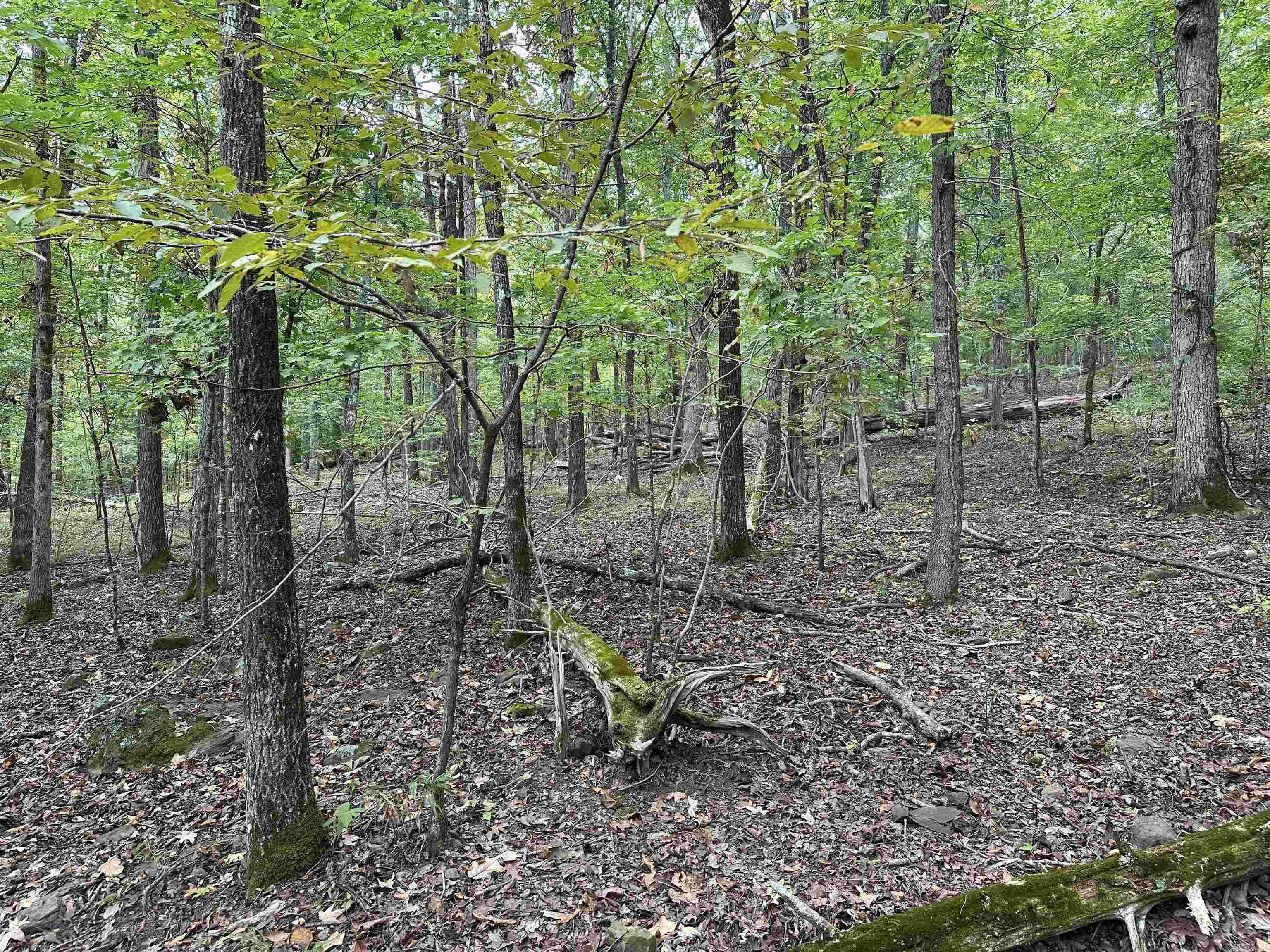 000 Nc 167 Property Photo 23