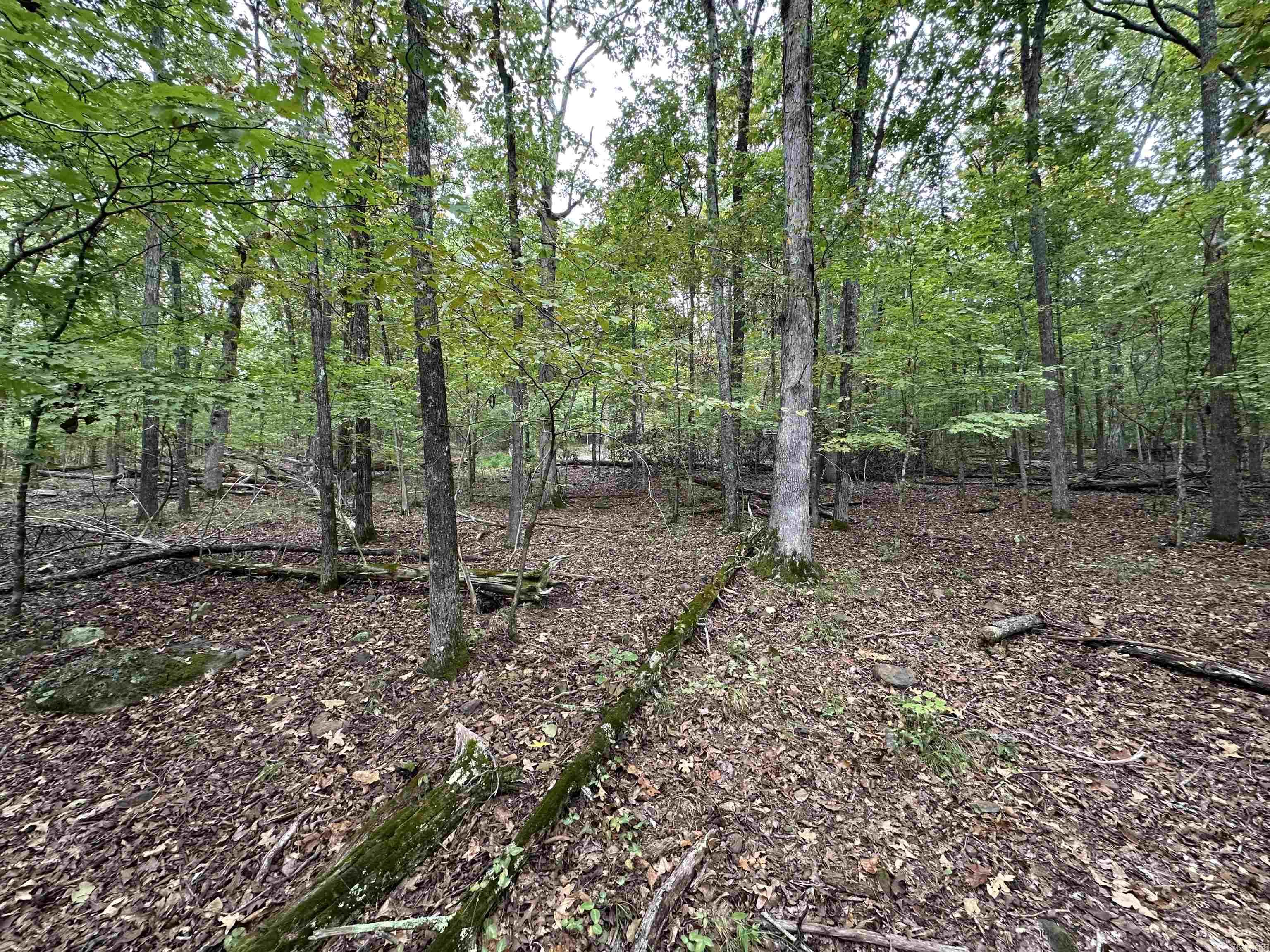 000 Nc 167 Property Photo 24