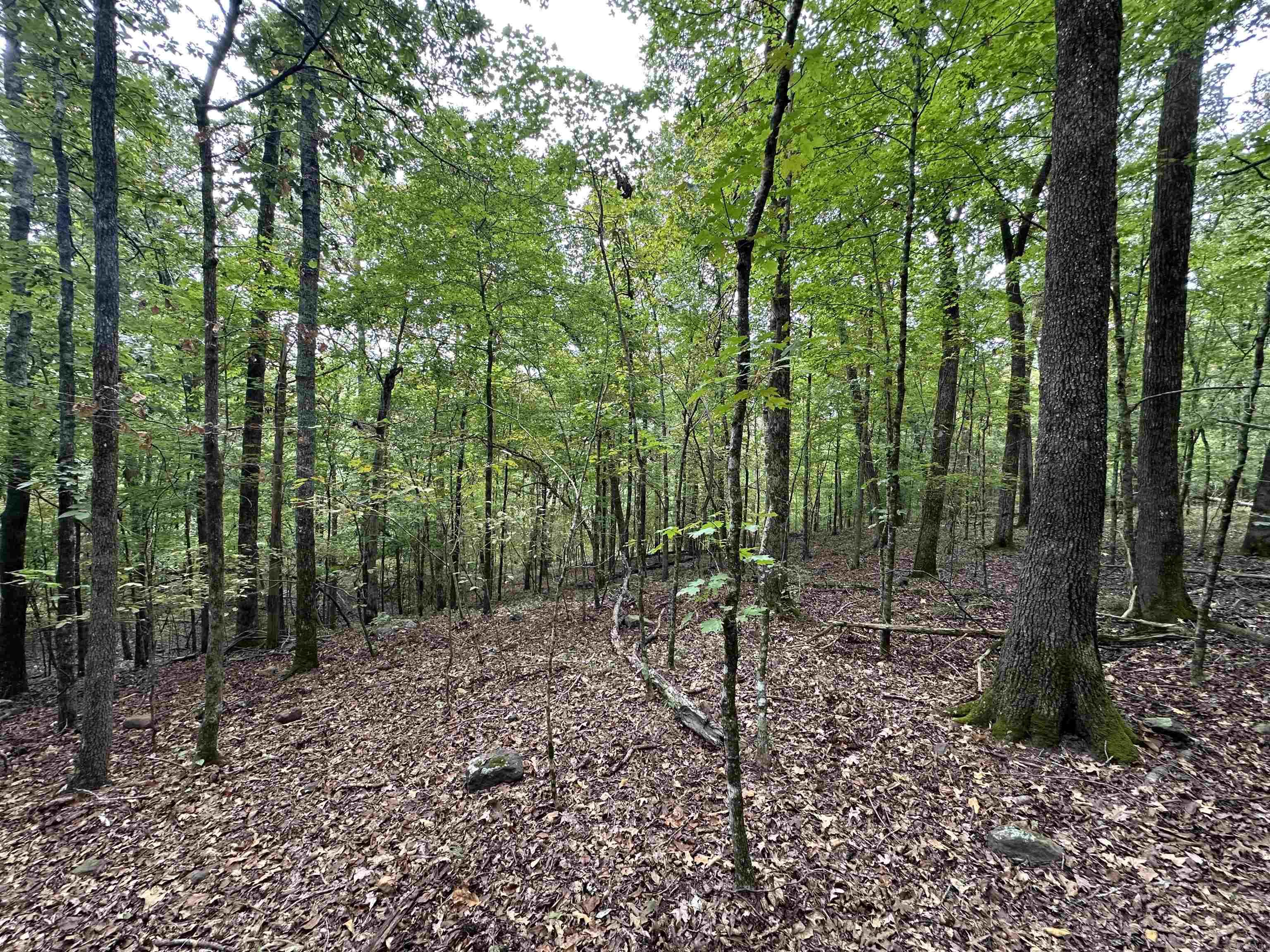 000 Nc 167 Property Photo 25