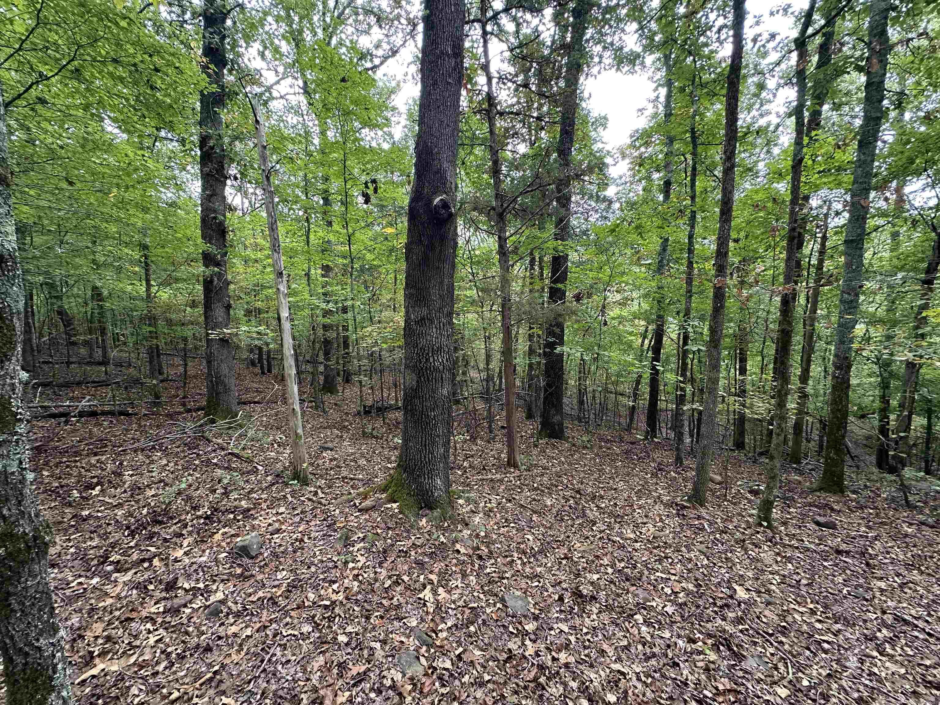 000 Nc 167 Property Photo 26