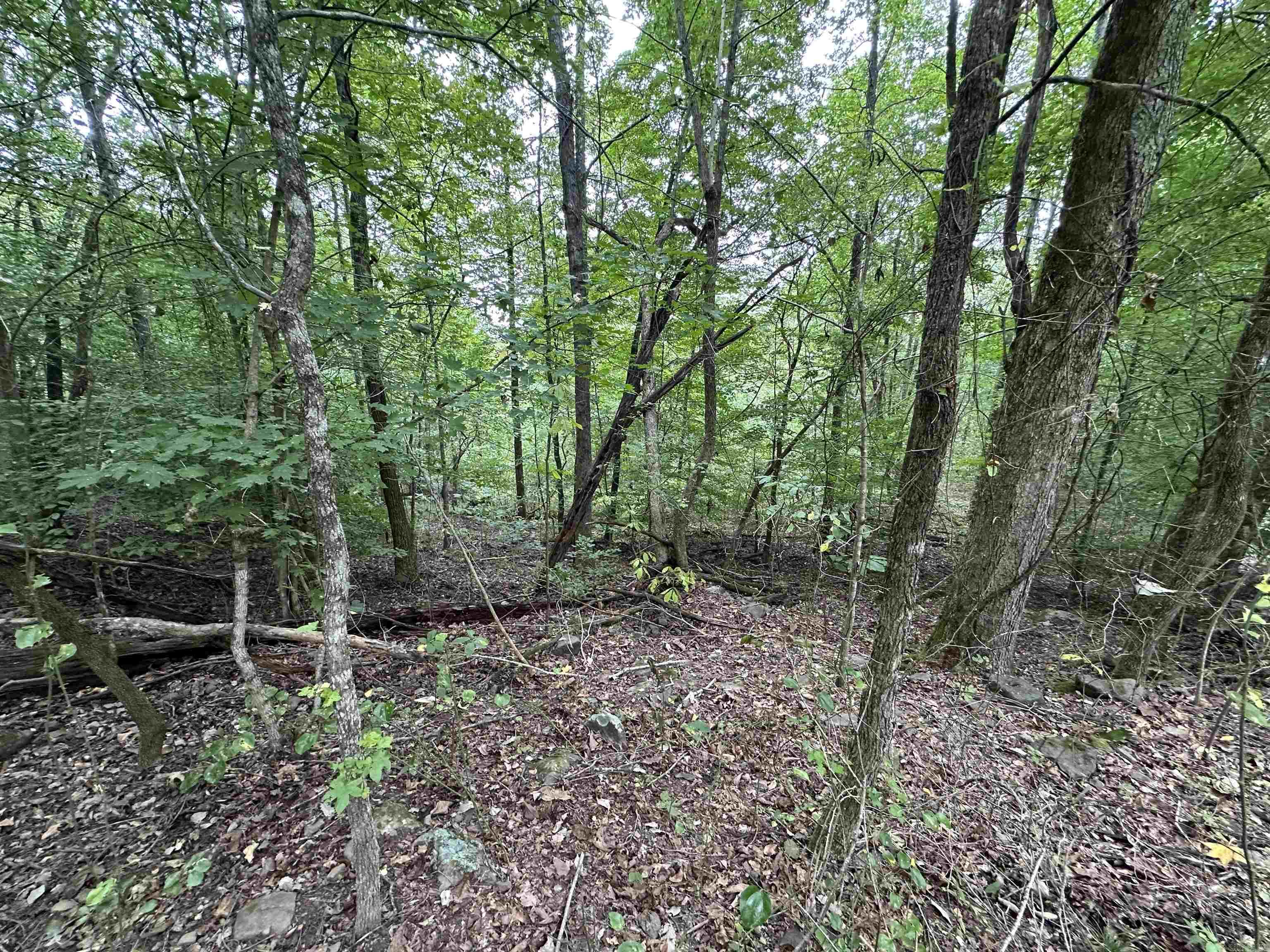 000 Nc 167 Property Photo 27