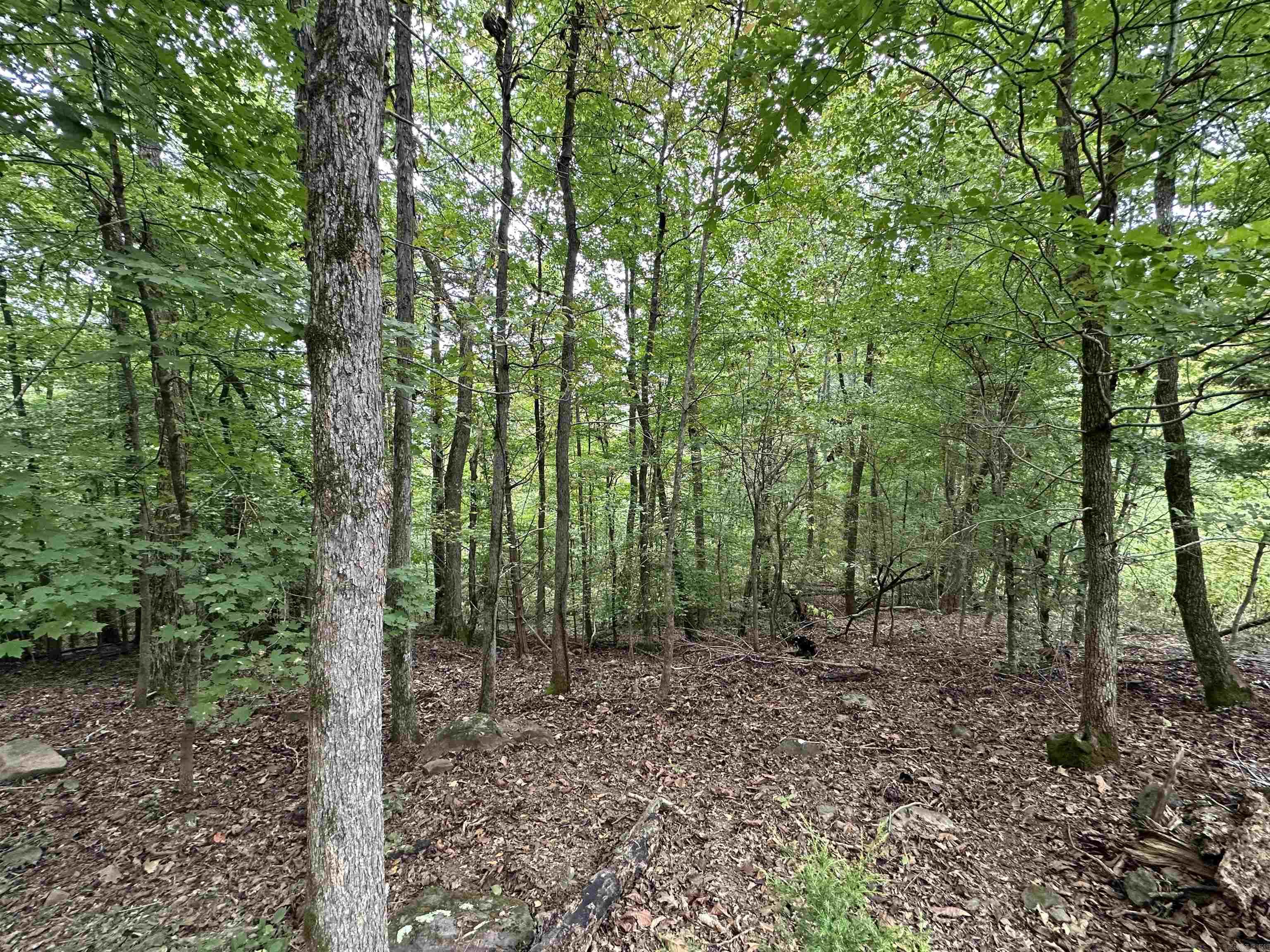 000 Nc 167 Property Photo 28