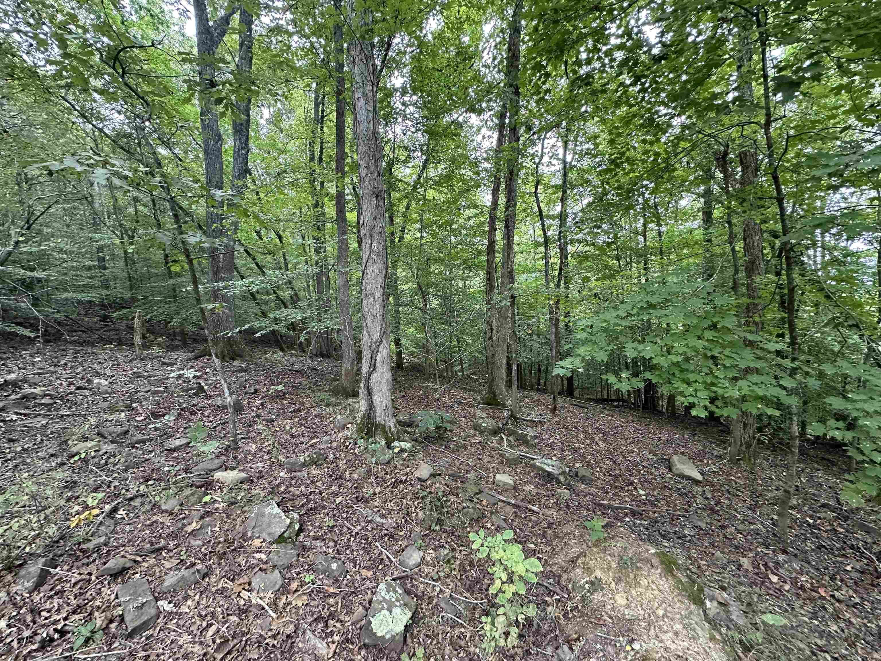 000 Nc 167 Property Photo 31