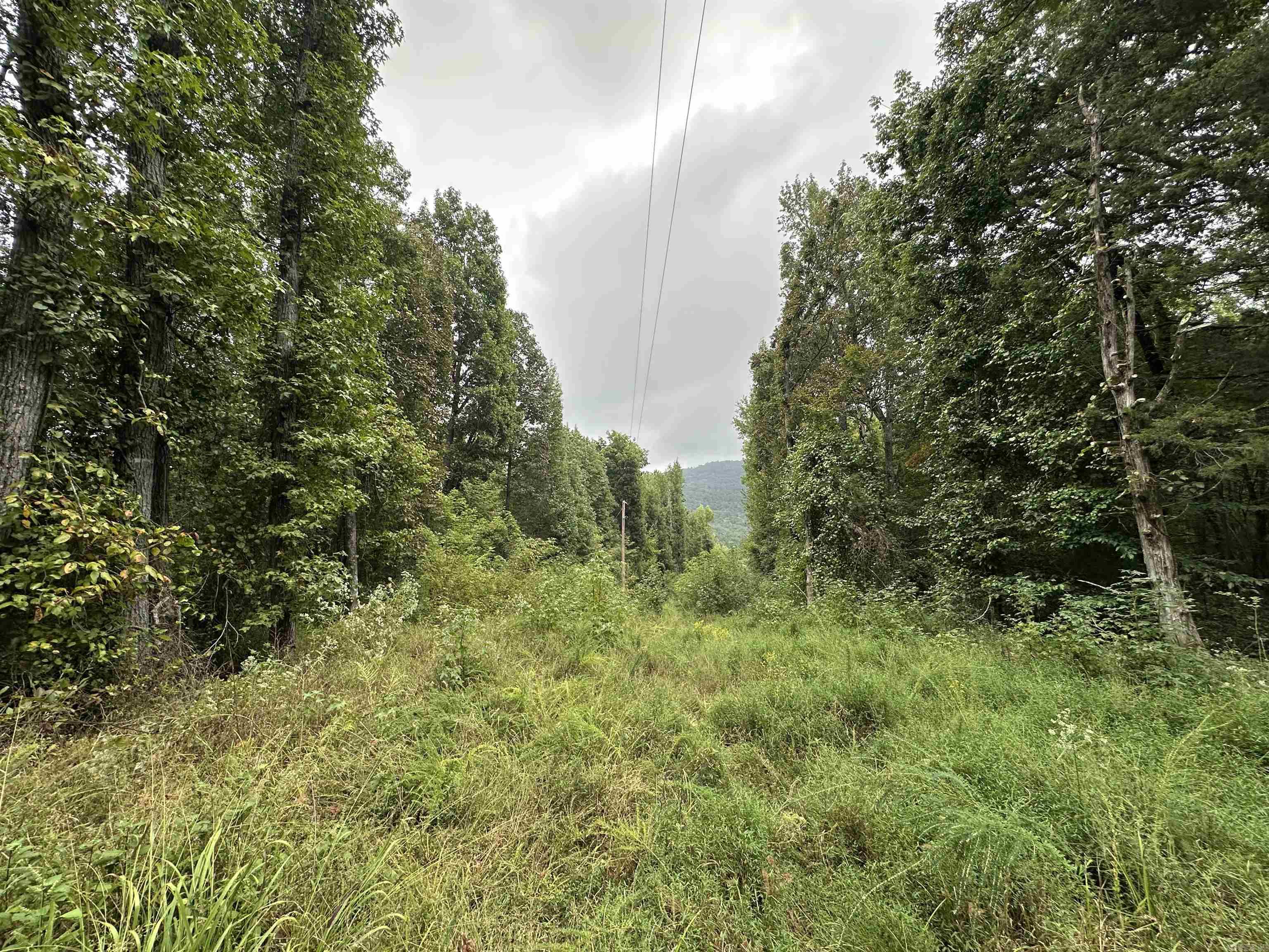 000 Nc 167 Property Photo 32