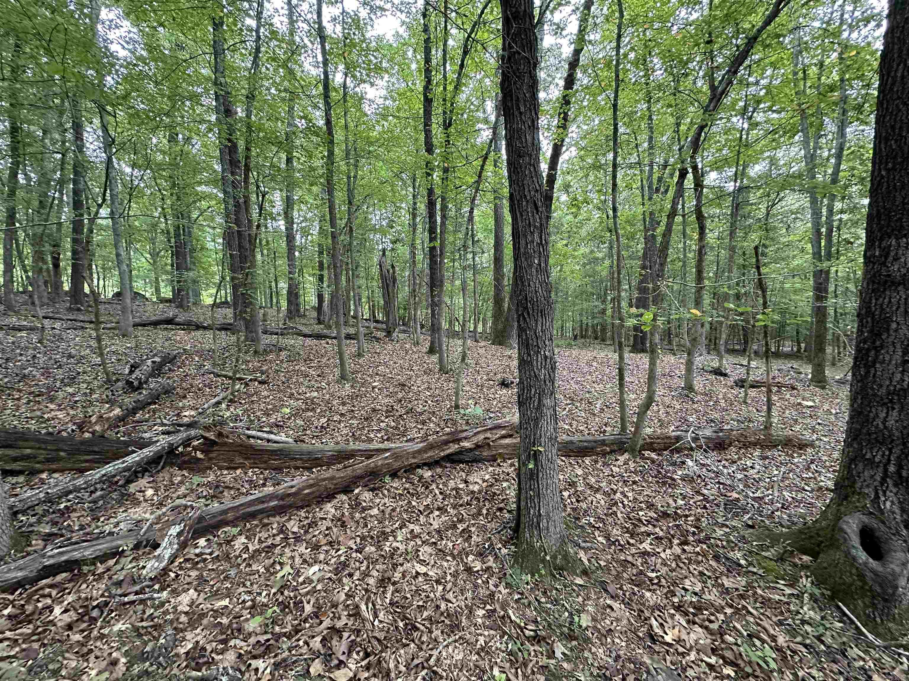 000 Nc 167 Property Photo 34