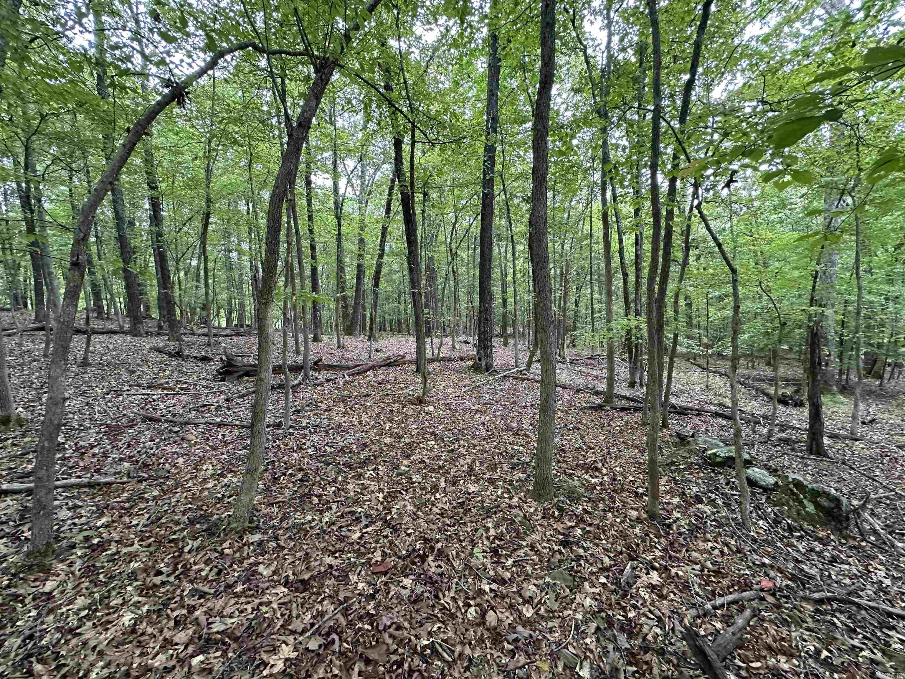 000 Nc 167 Property Photo 36
