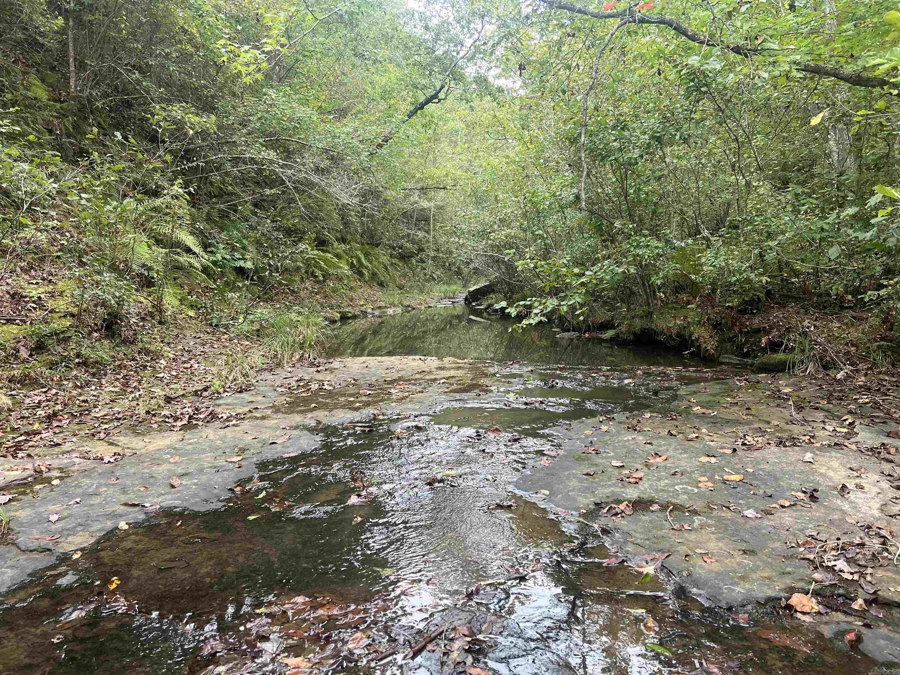 1688 Peyton Mountain Rd. Property Photo 1