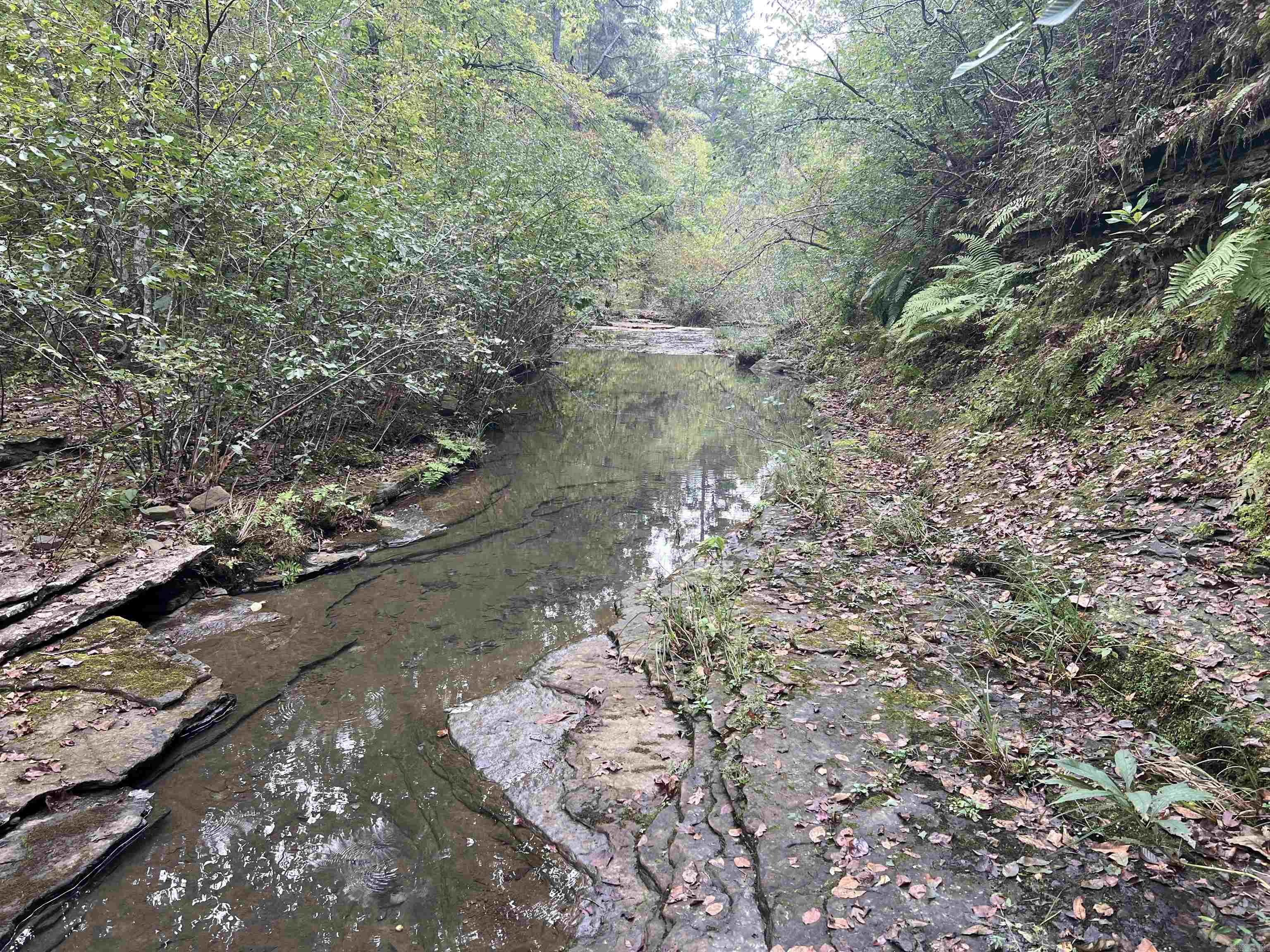 1688 Peyton Mountain Rd. Property Photo 2