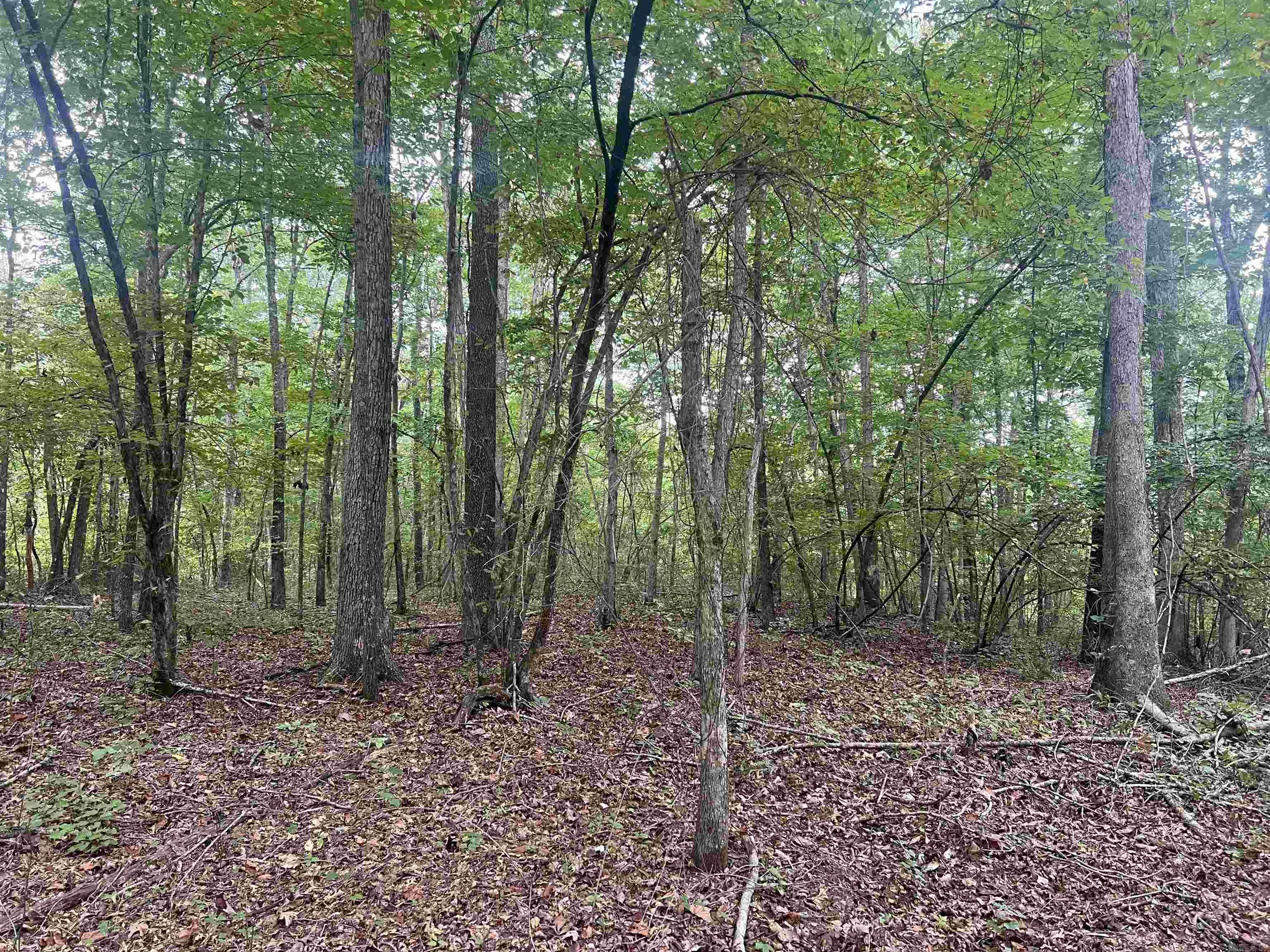 1688 Peyton Mountain Rd. Property Photo 4
