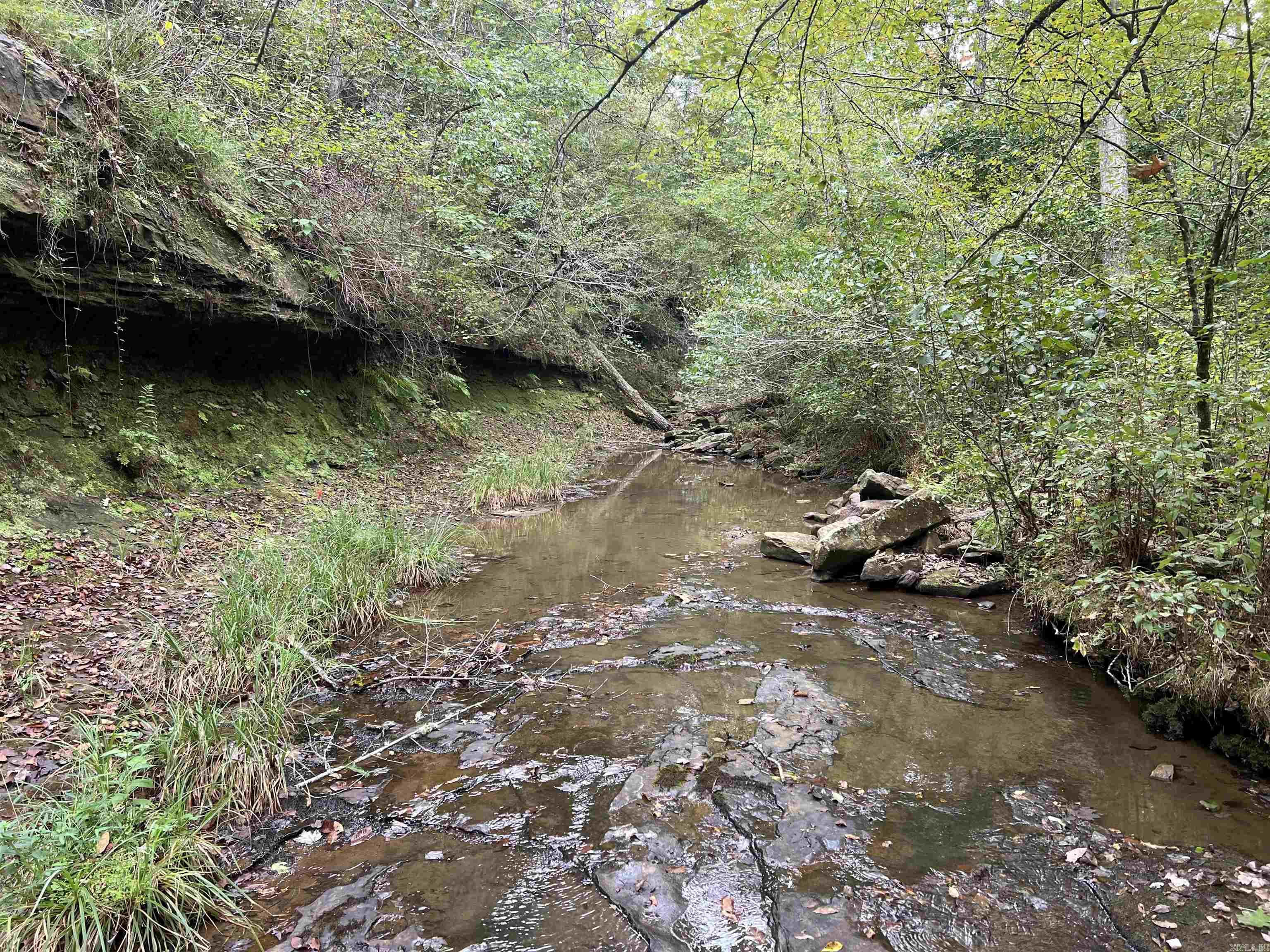 1688 Peyton Mountain Rd. Property Photo 5