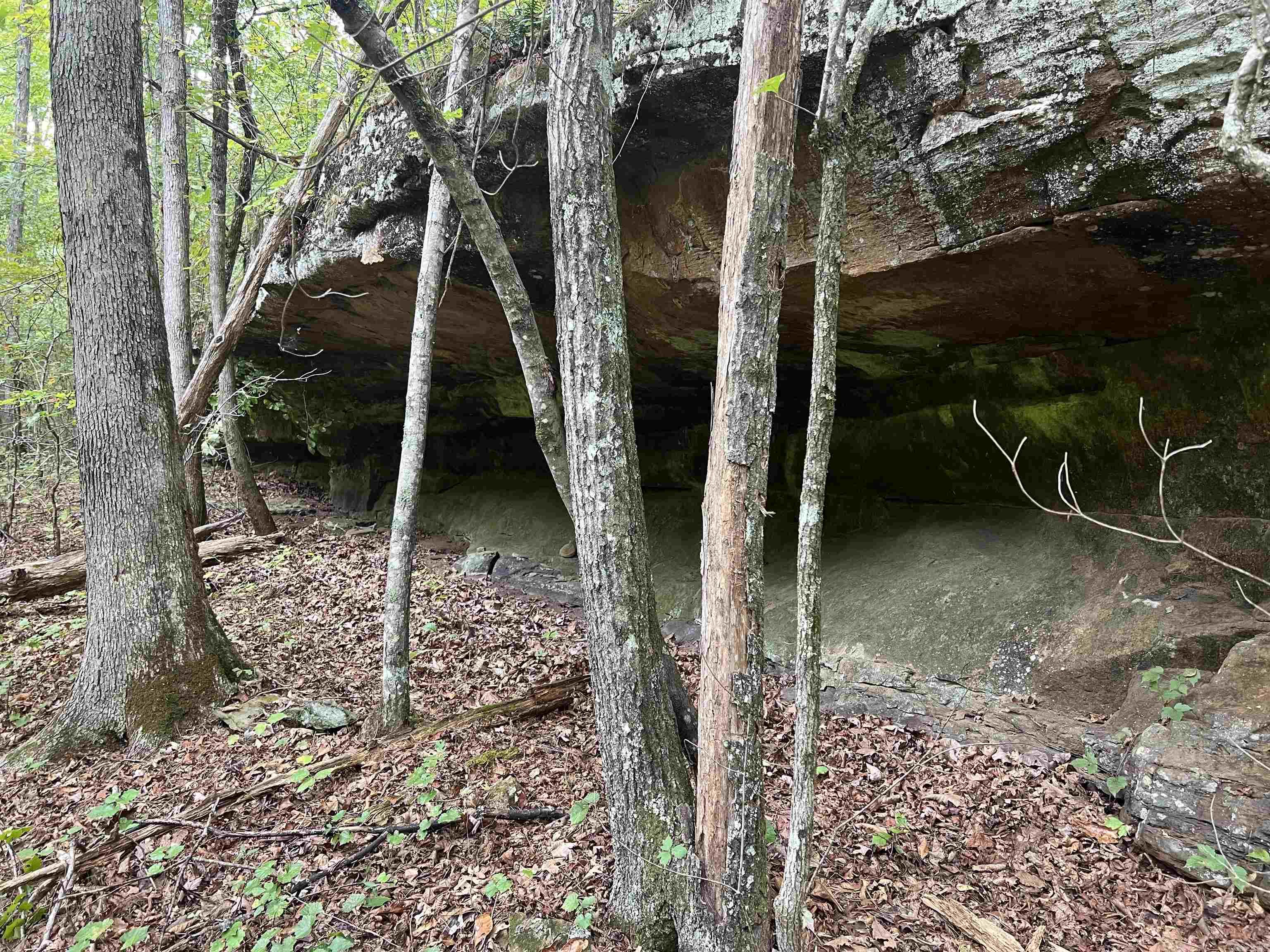 1688 Peyton Mountain Rd. Property Photo 6
