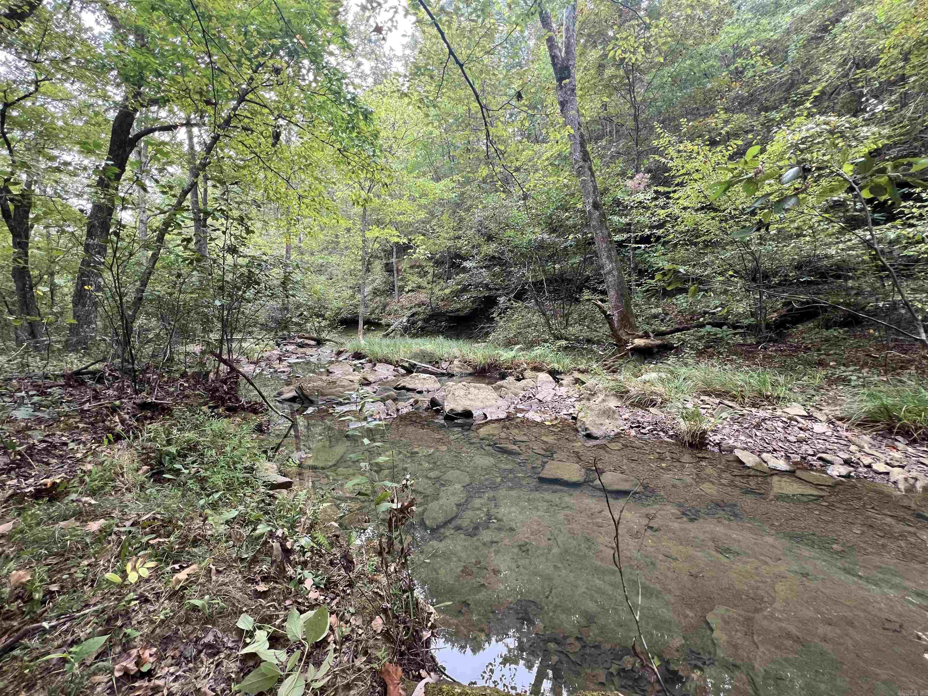 1688 Peyton Mountain Rd. Property Photo 8