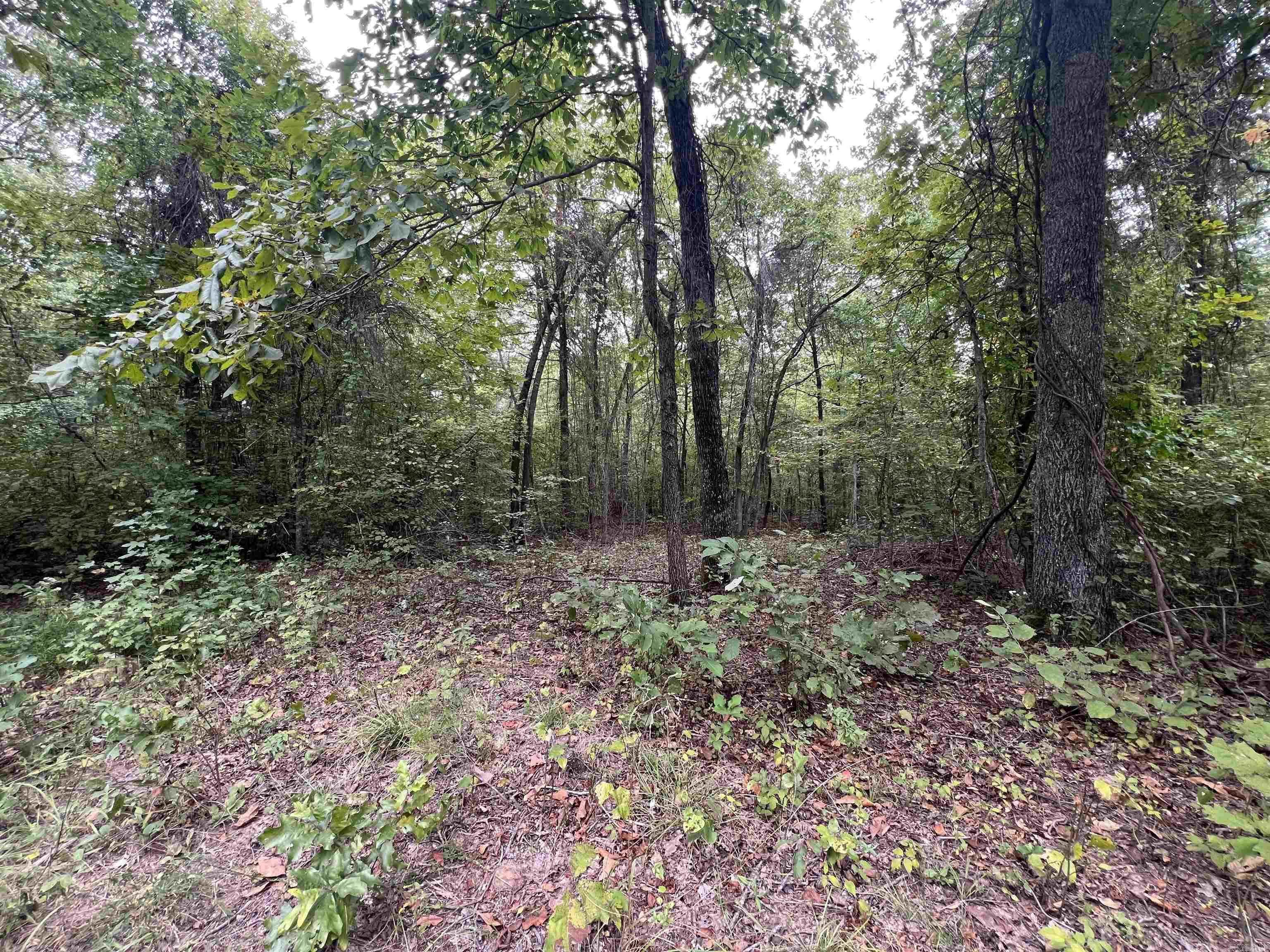 1688 Peyton Mountain Rd. Property Photo 11