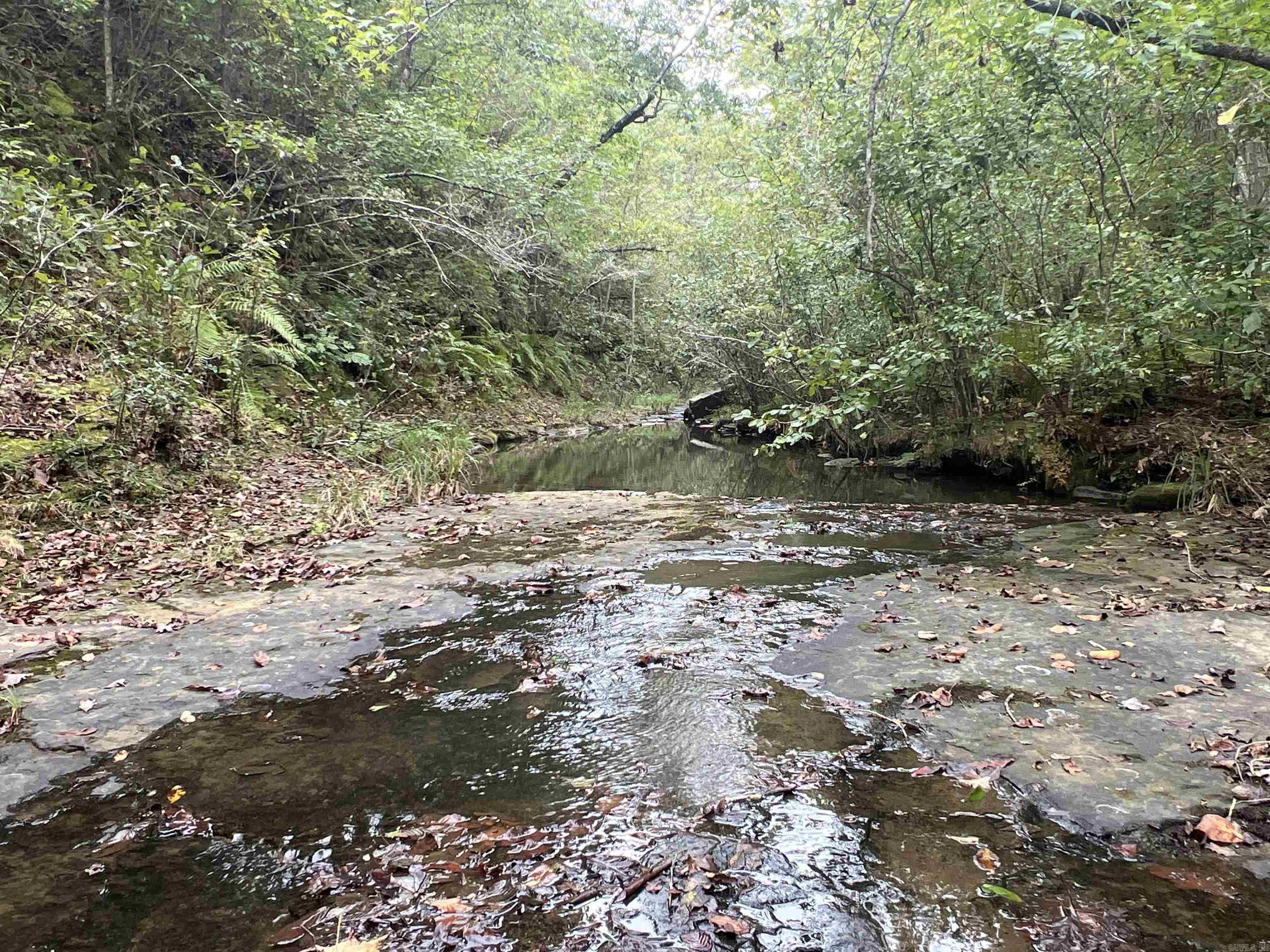 1688 Peyton Mountain Rd. Property Photo 12