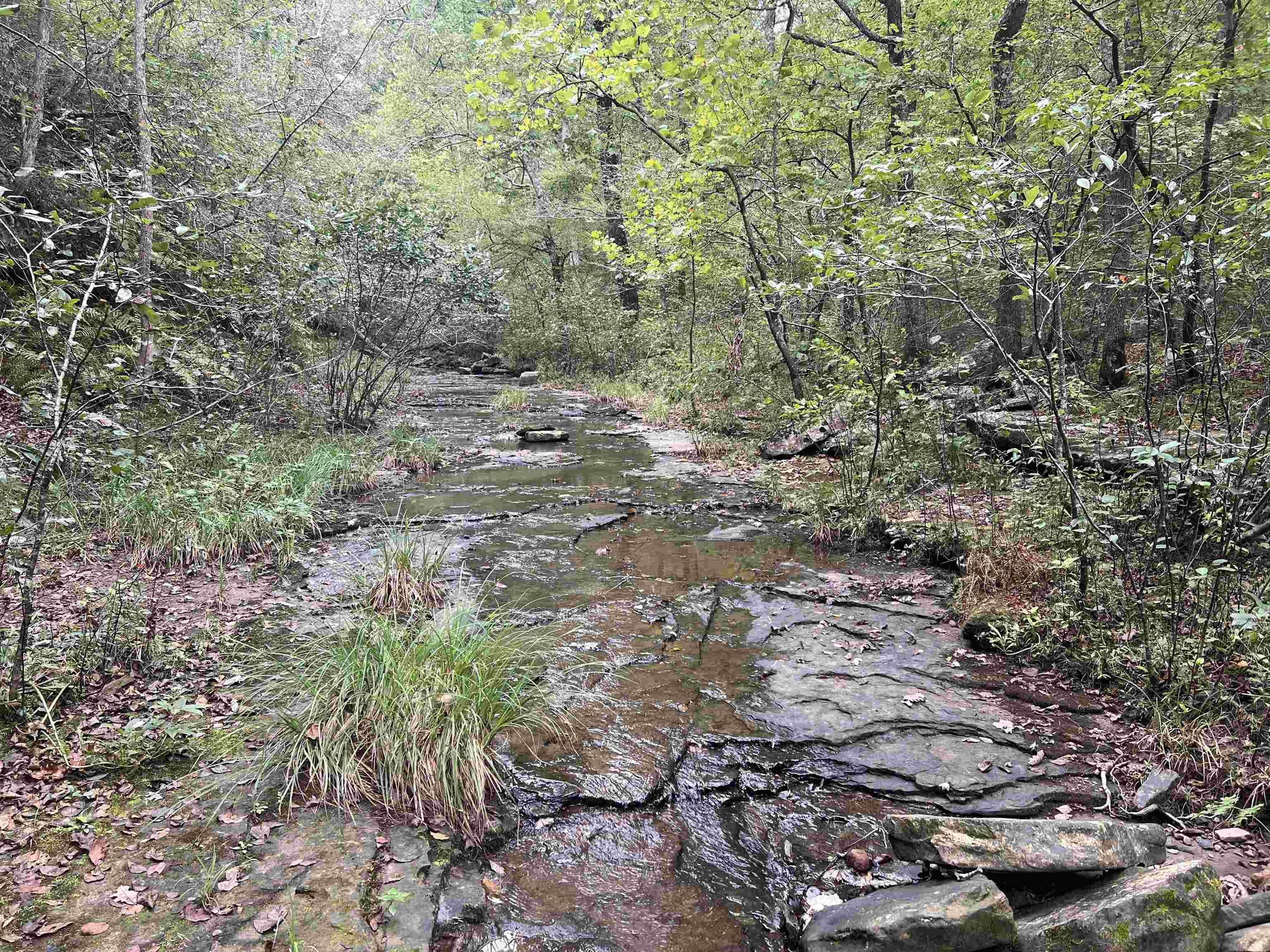 1688 Peyton Mountain Rd. Property Photo 14