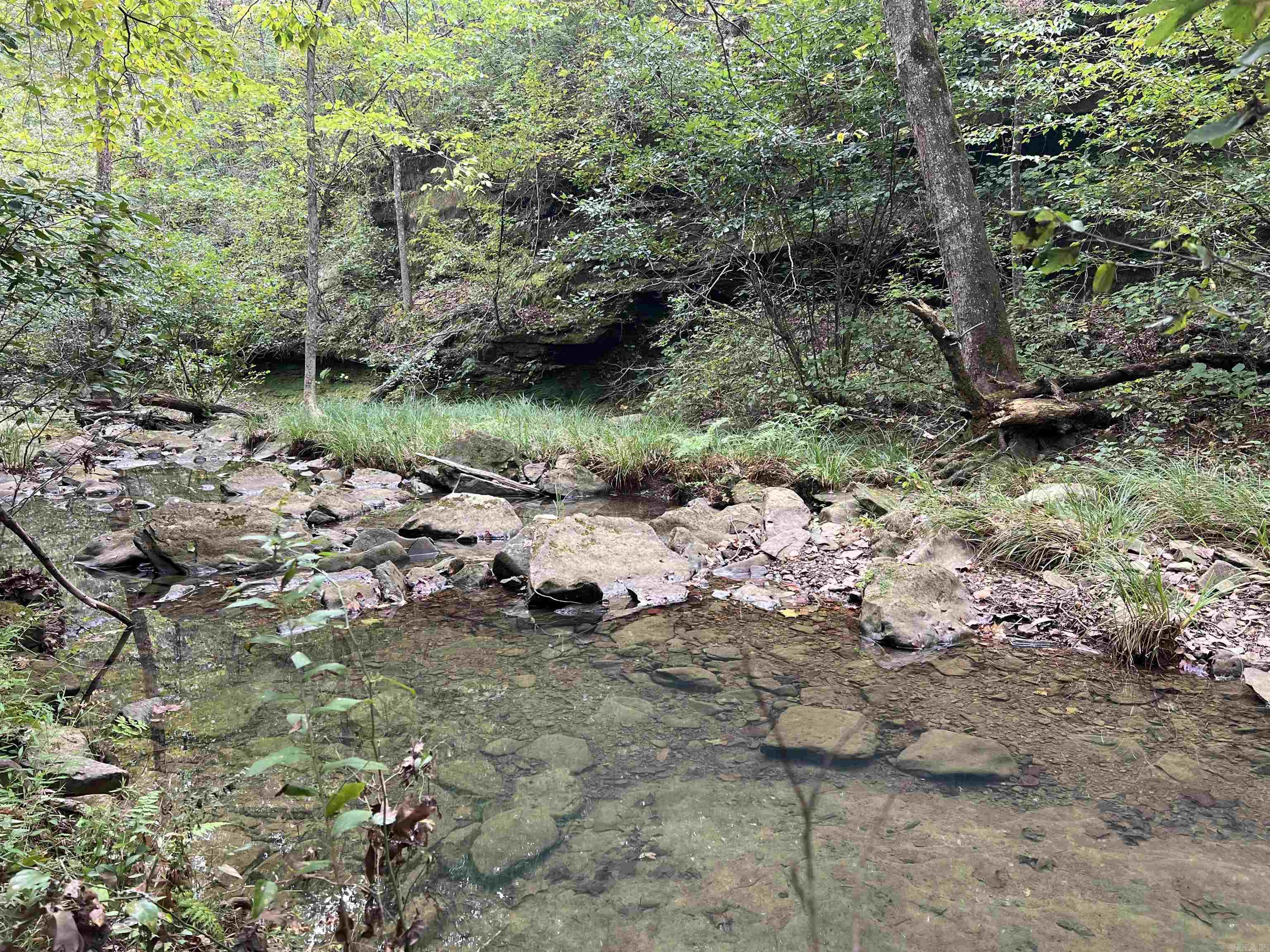 1688 Peyton Mountain Rd. Property Photo 15