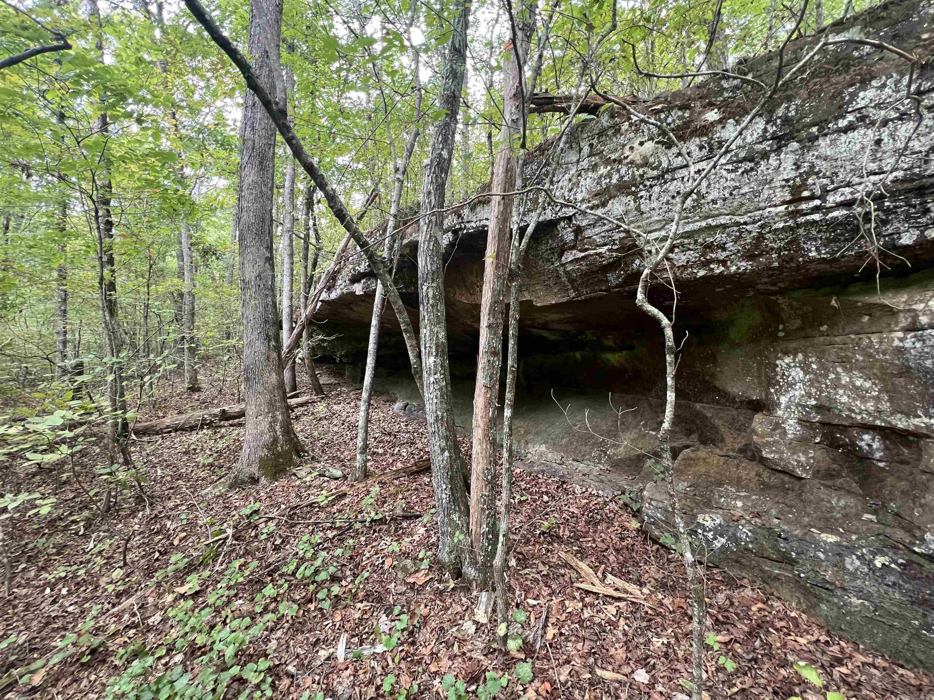1688 Peyton Mountain Rd. Property Photo 16