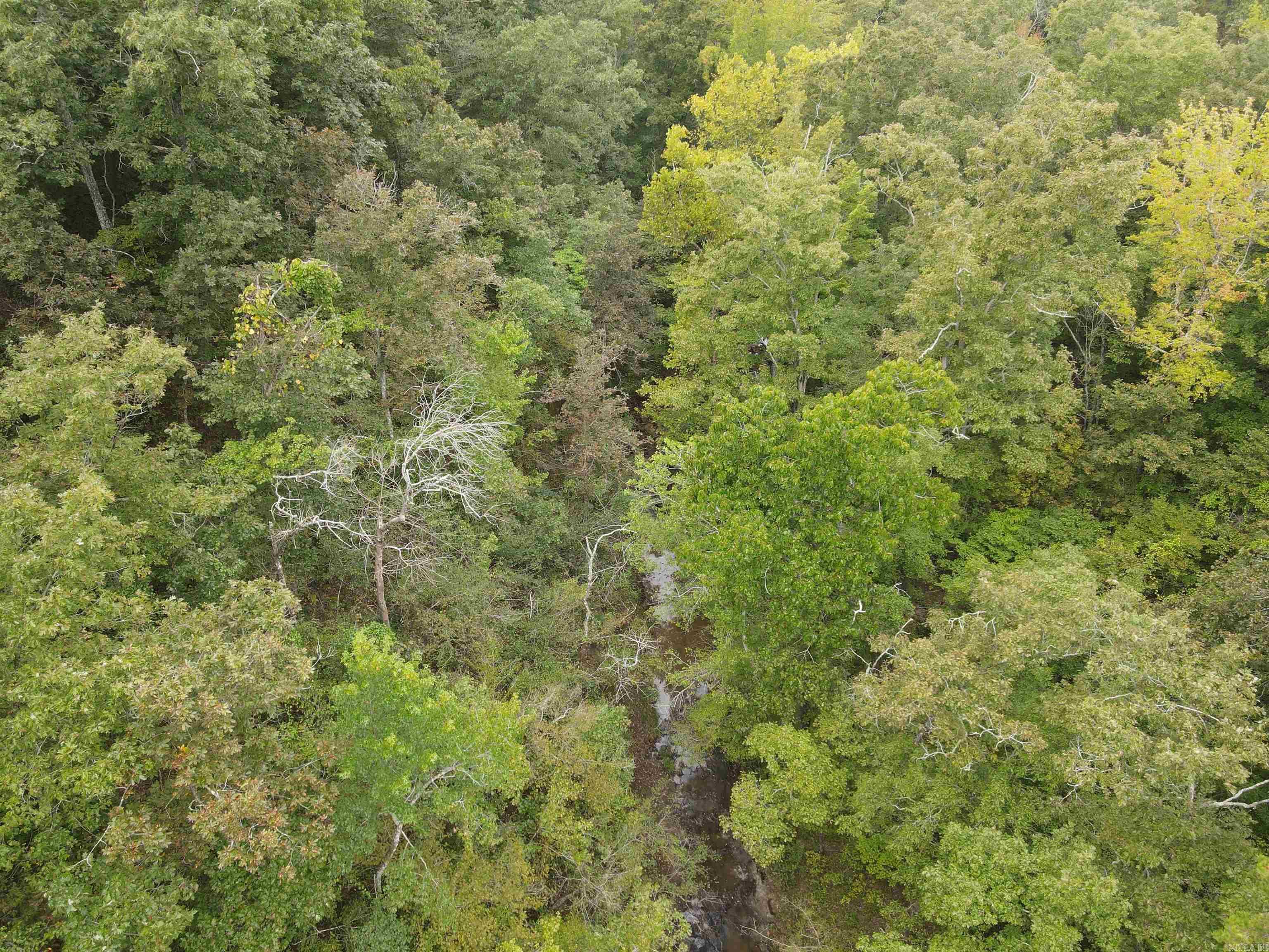 1688 Peyton Mountain Rd. Property Photo 17