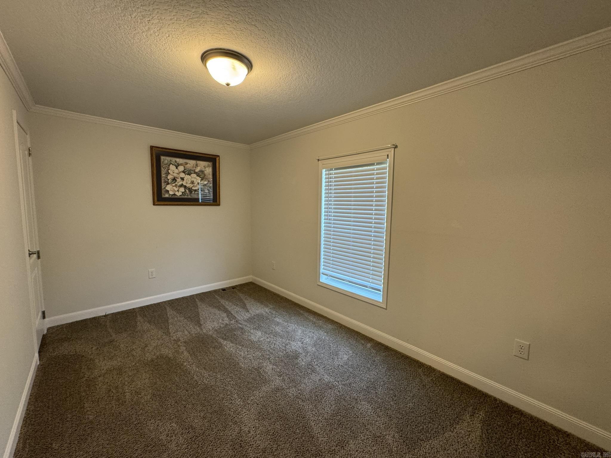 24 Clear Creek Court Property Photo 13