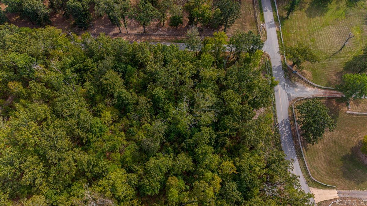 5.55 Ac Springdale/brock Property Photo 4