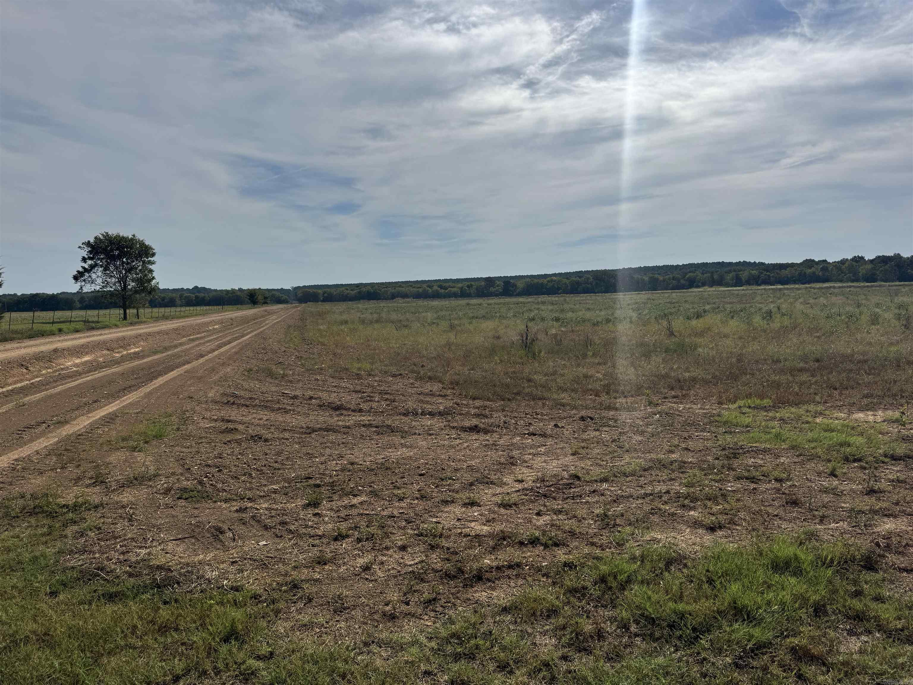 1869 Lafayette County 9 Property Photo 3