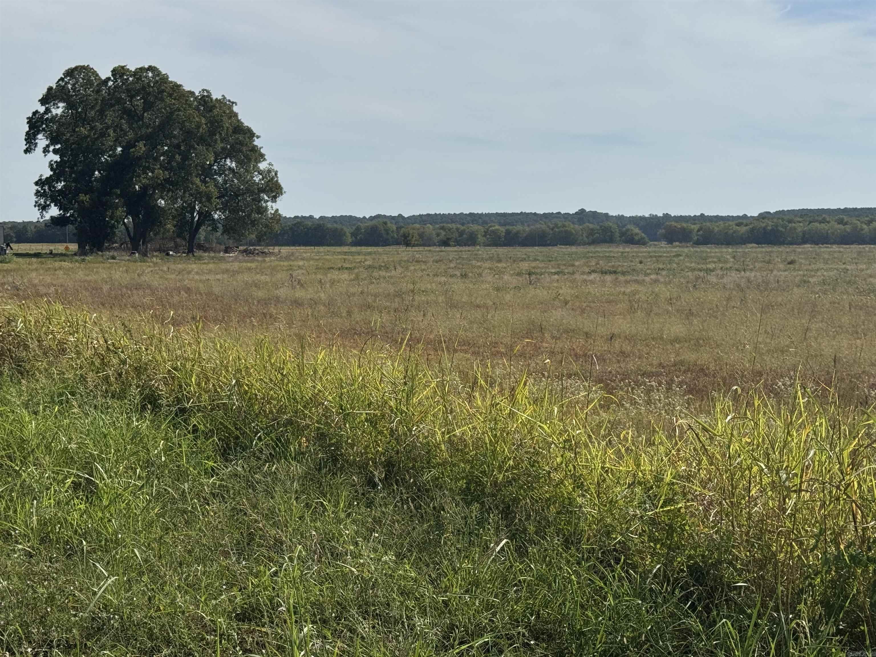 1869 Lafayette County 9 Property Photo 4