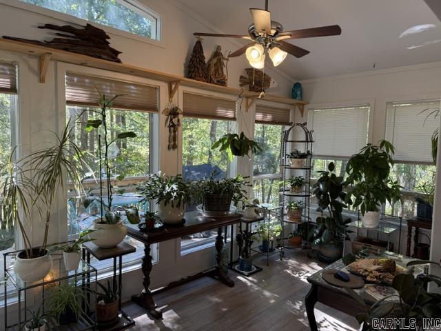 5 Cantalejo Lane Property Photo 7