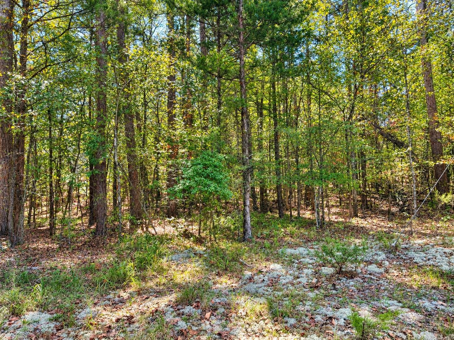 Tbd (100) Manfred Road Property Photo 6