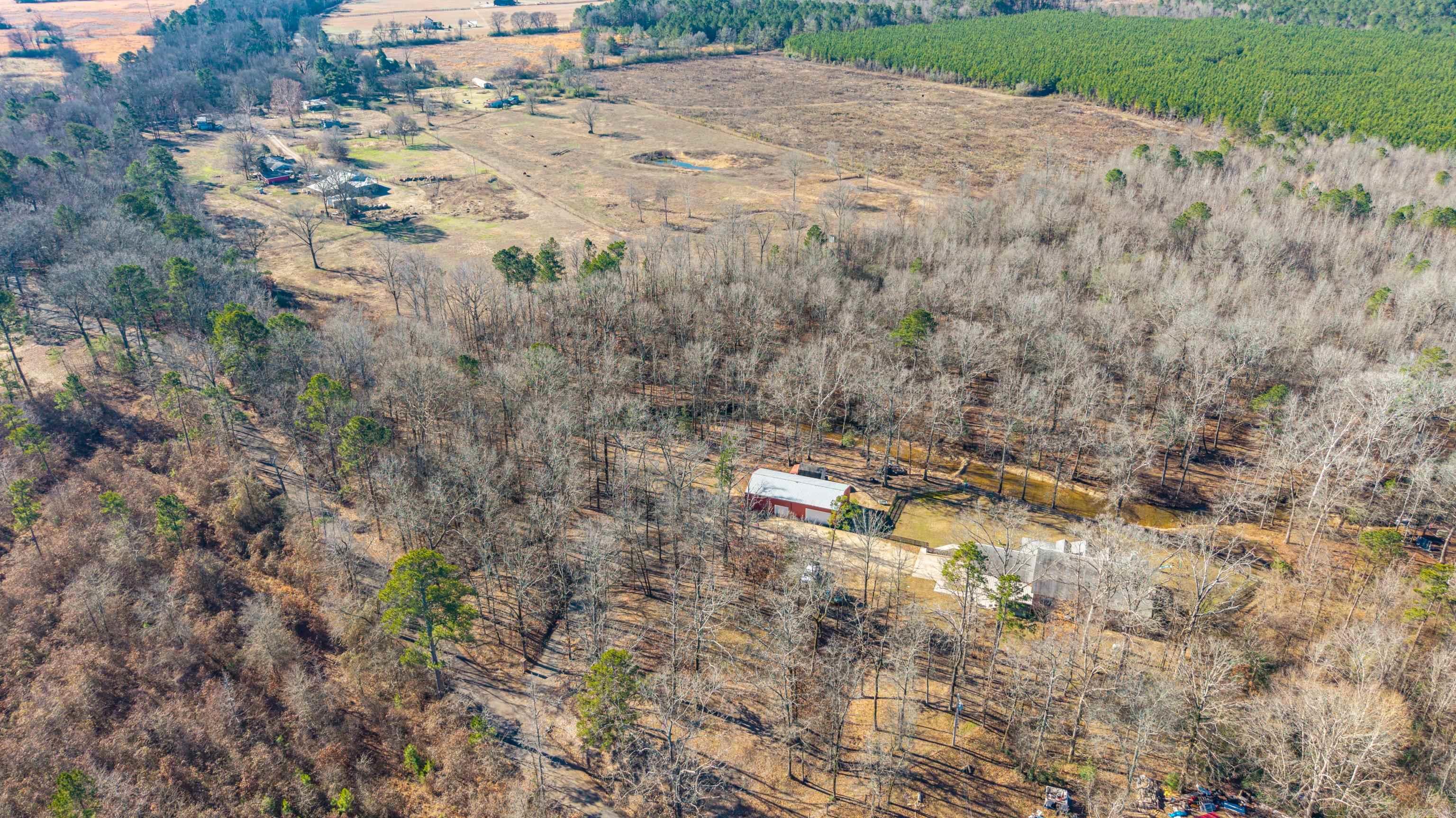 1241 Kirkpatrick Road Property Photo 47