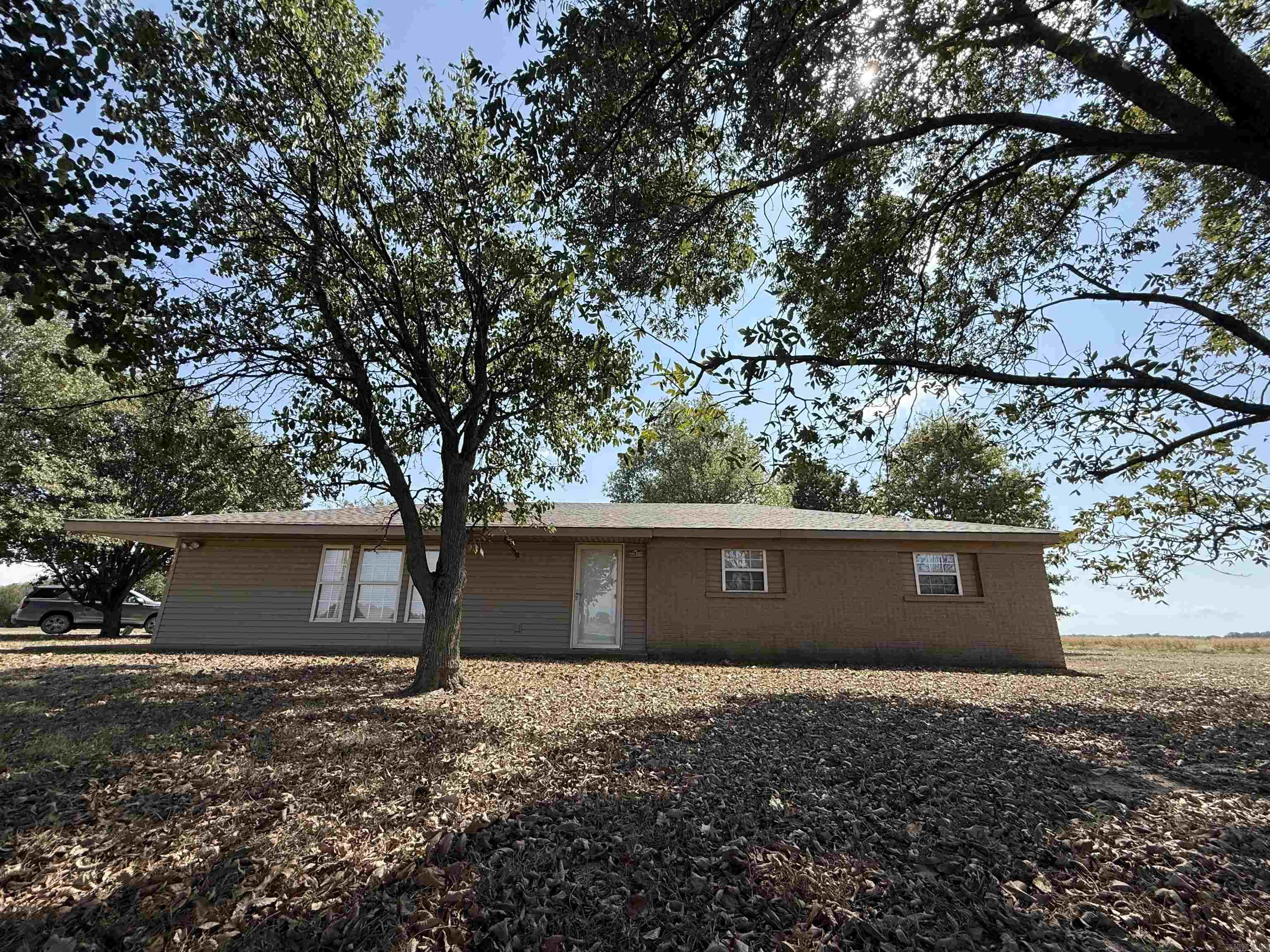 317 County Road 104 Road Property Photo 7