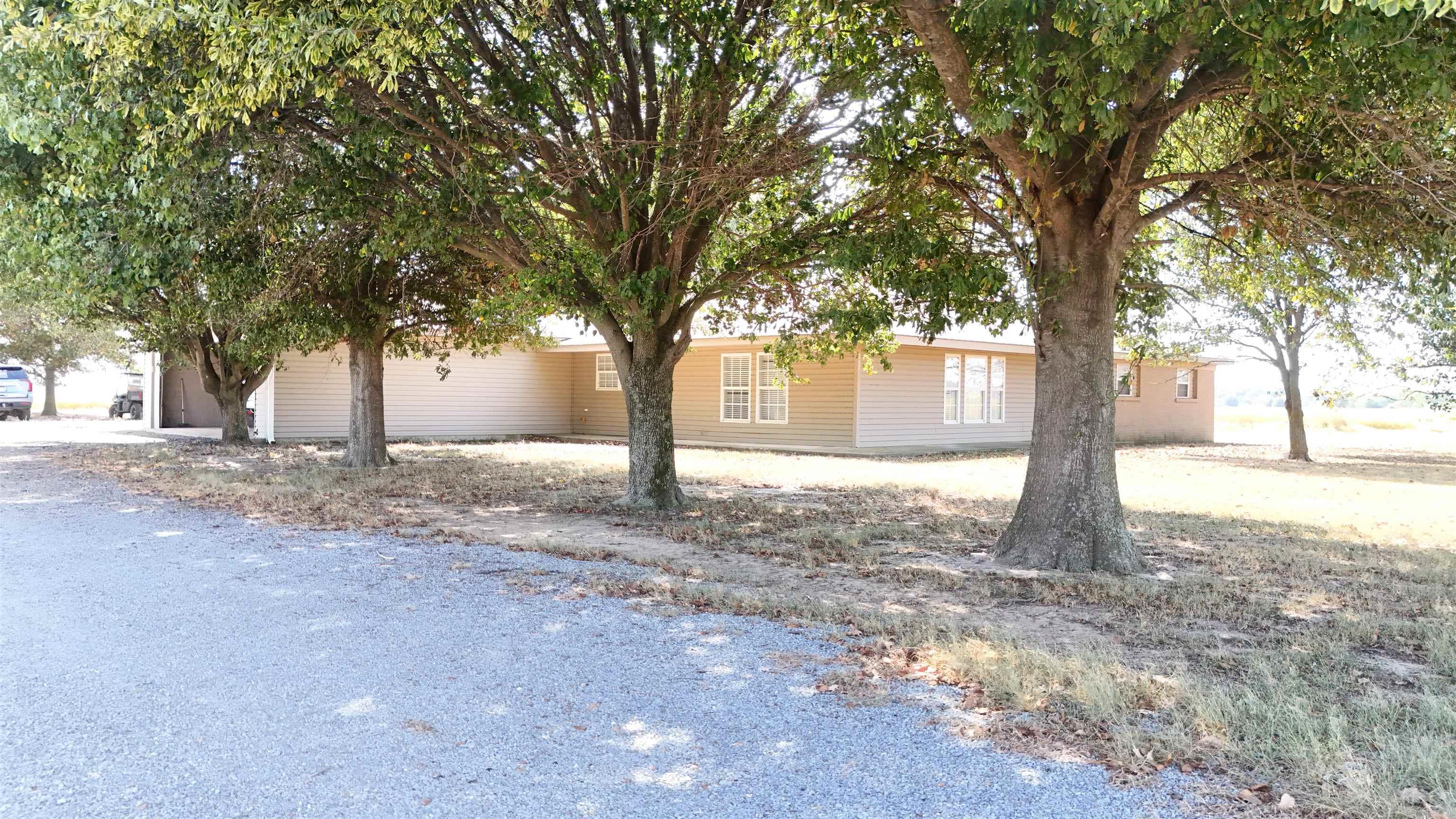 317 County Road 104 Road Property Photo 34