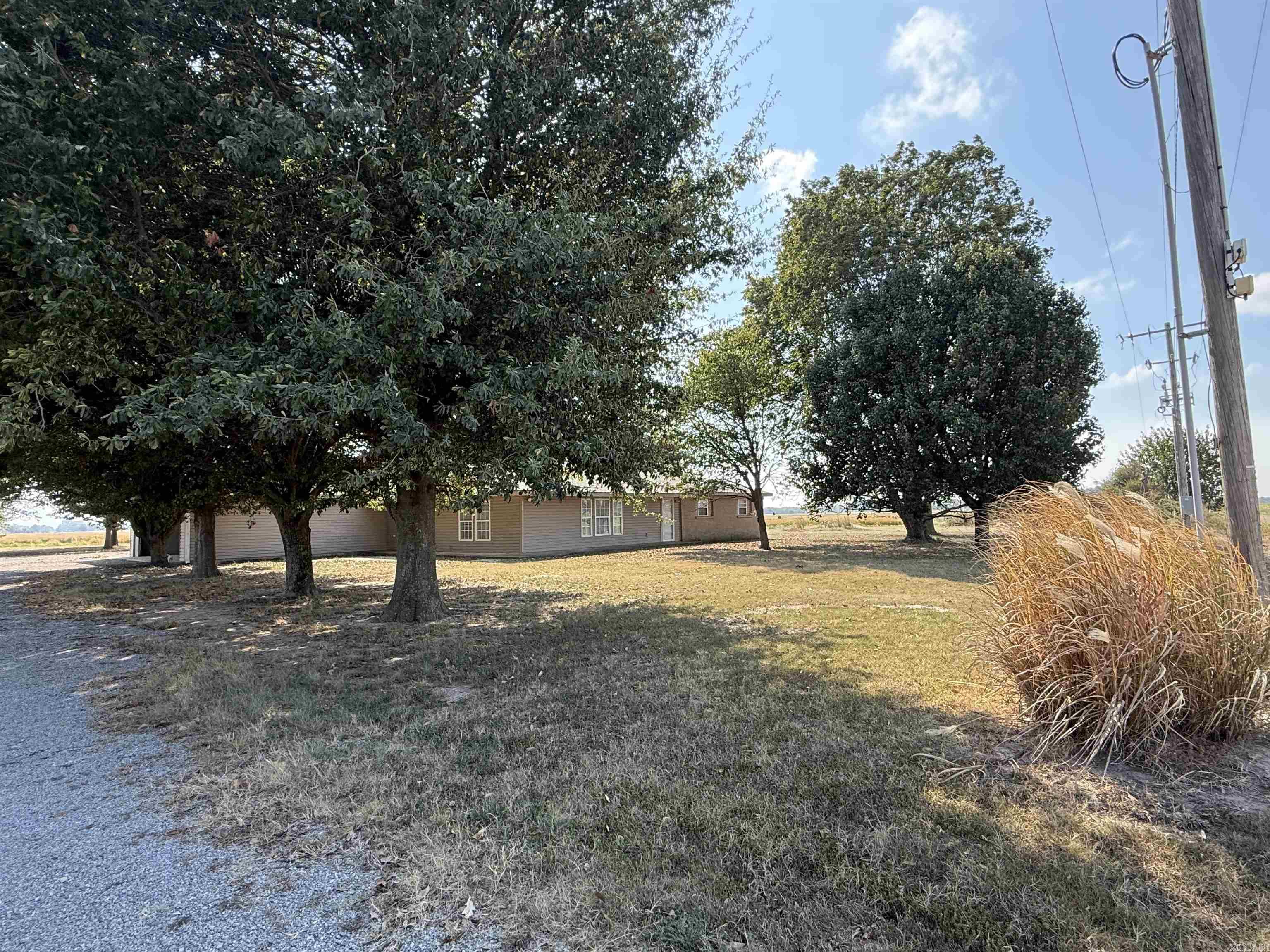 317 County Road 104 Road Property Photo 39