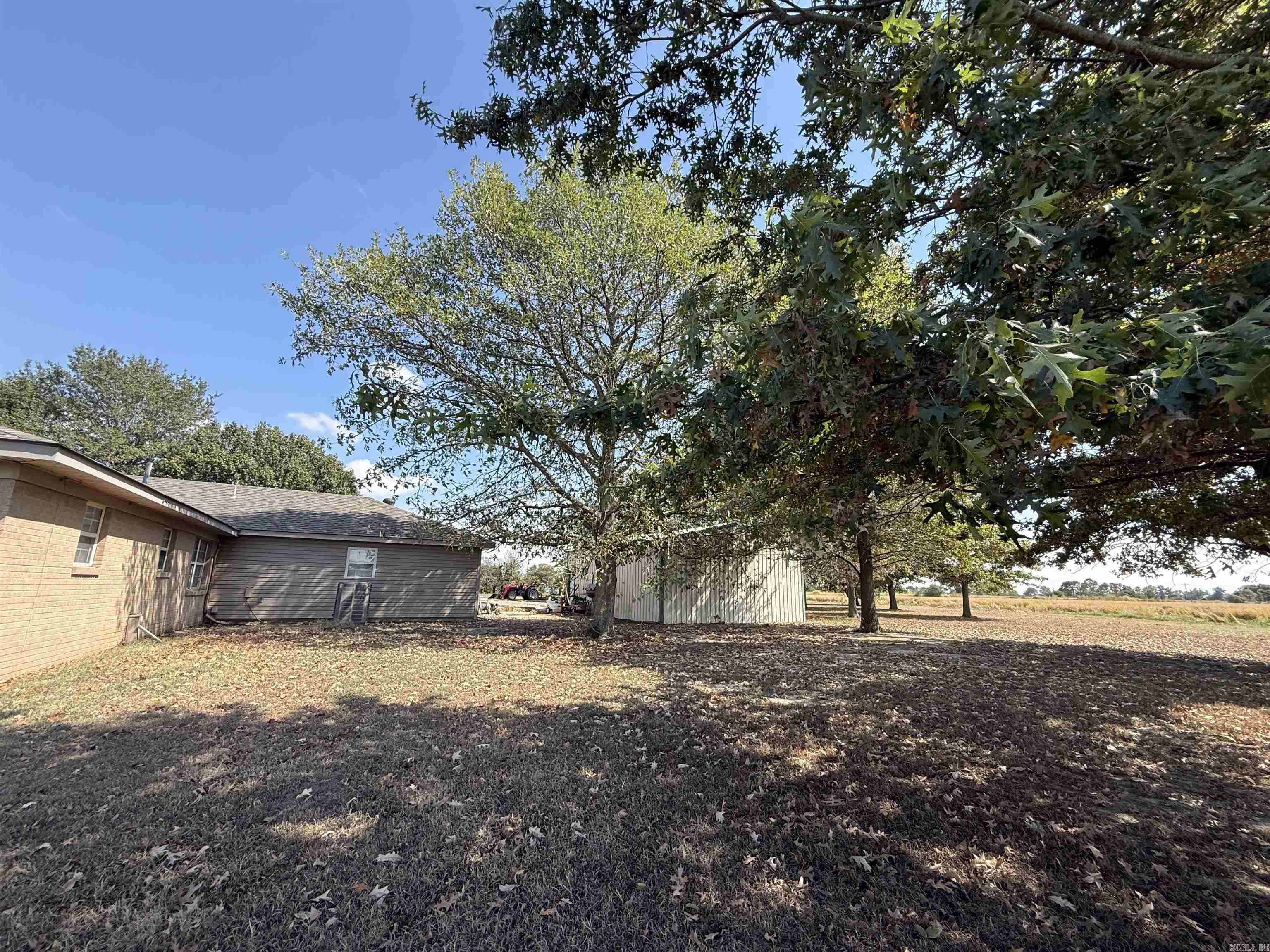 317 County Road 104 Road Property Photo 40