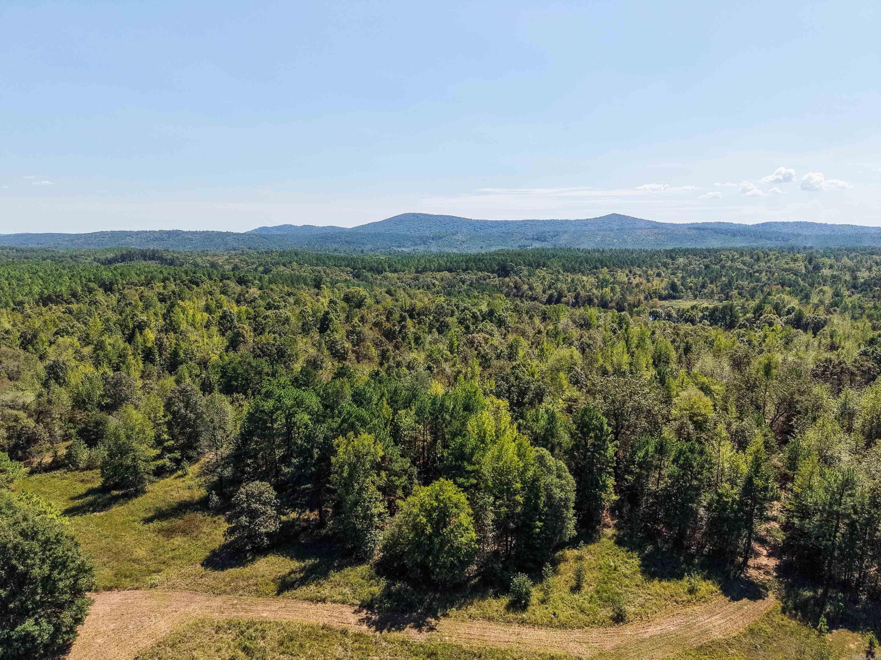 Tbd Campbell Road Property Photo 12