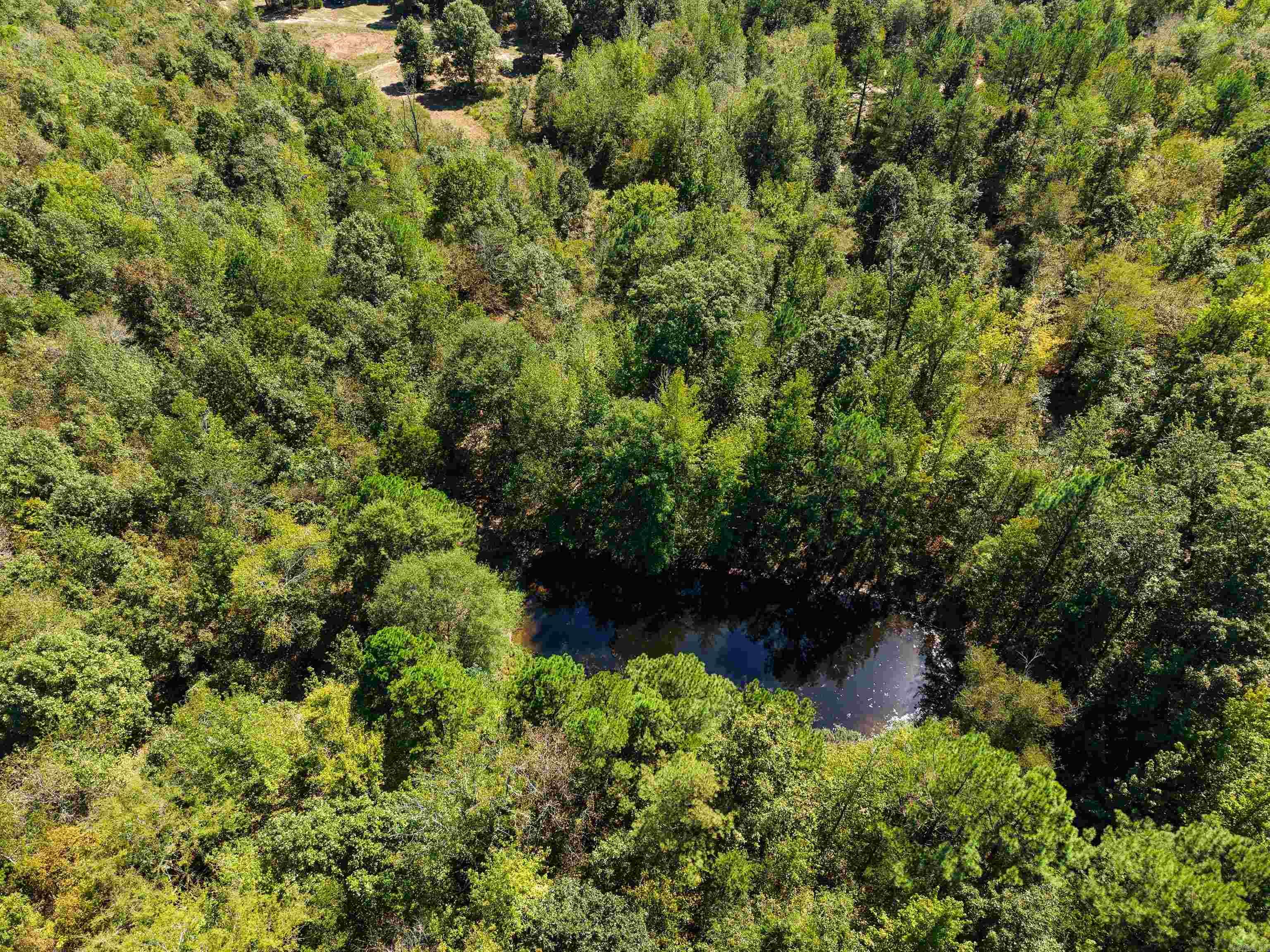 Tbd Campbell Road Property Photo 16