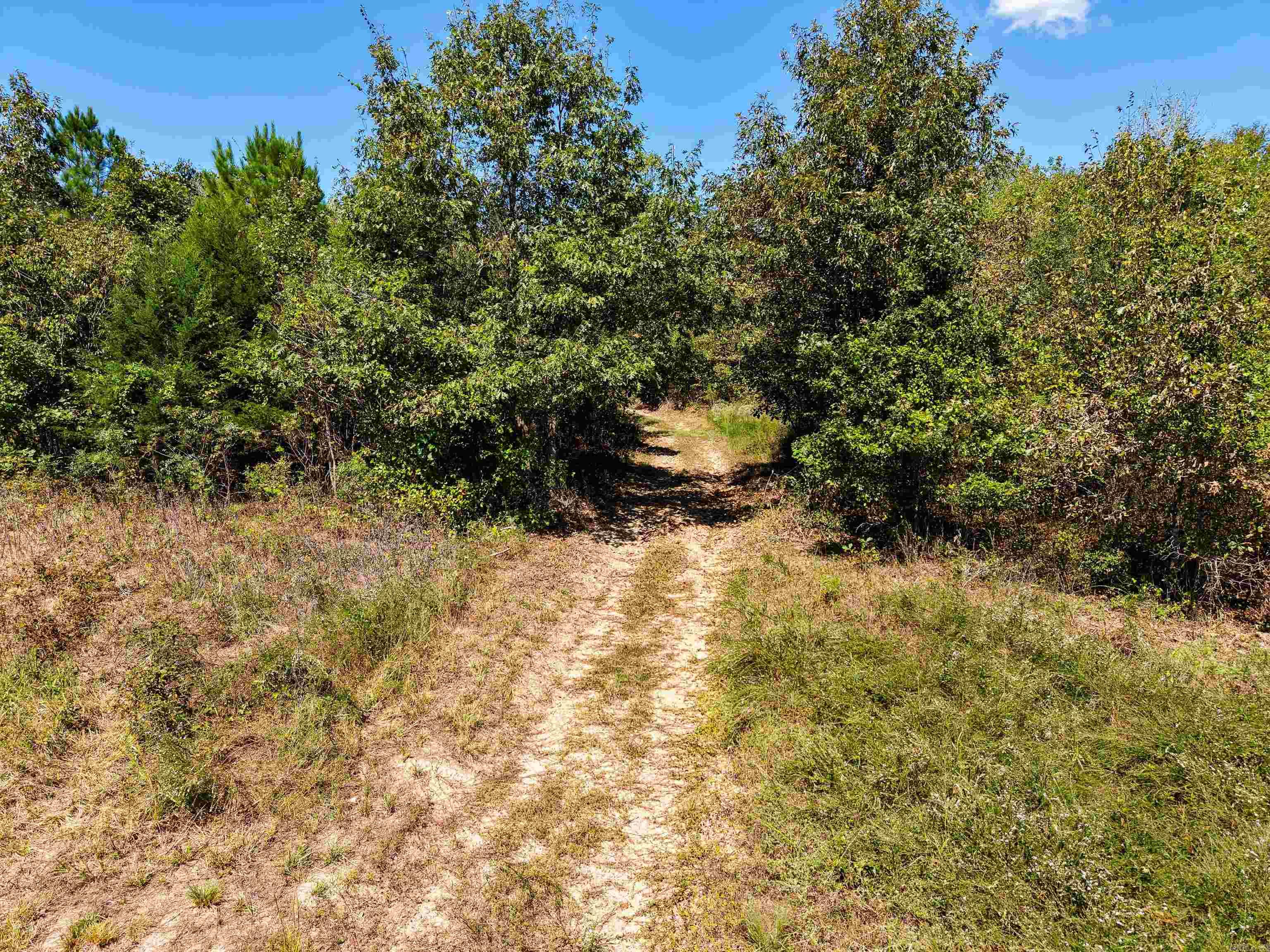 Tbd Campbell Road Property Photo 30