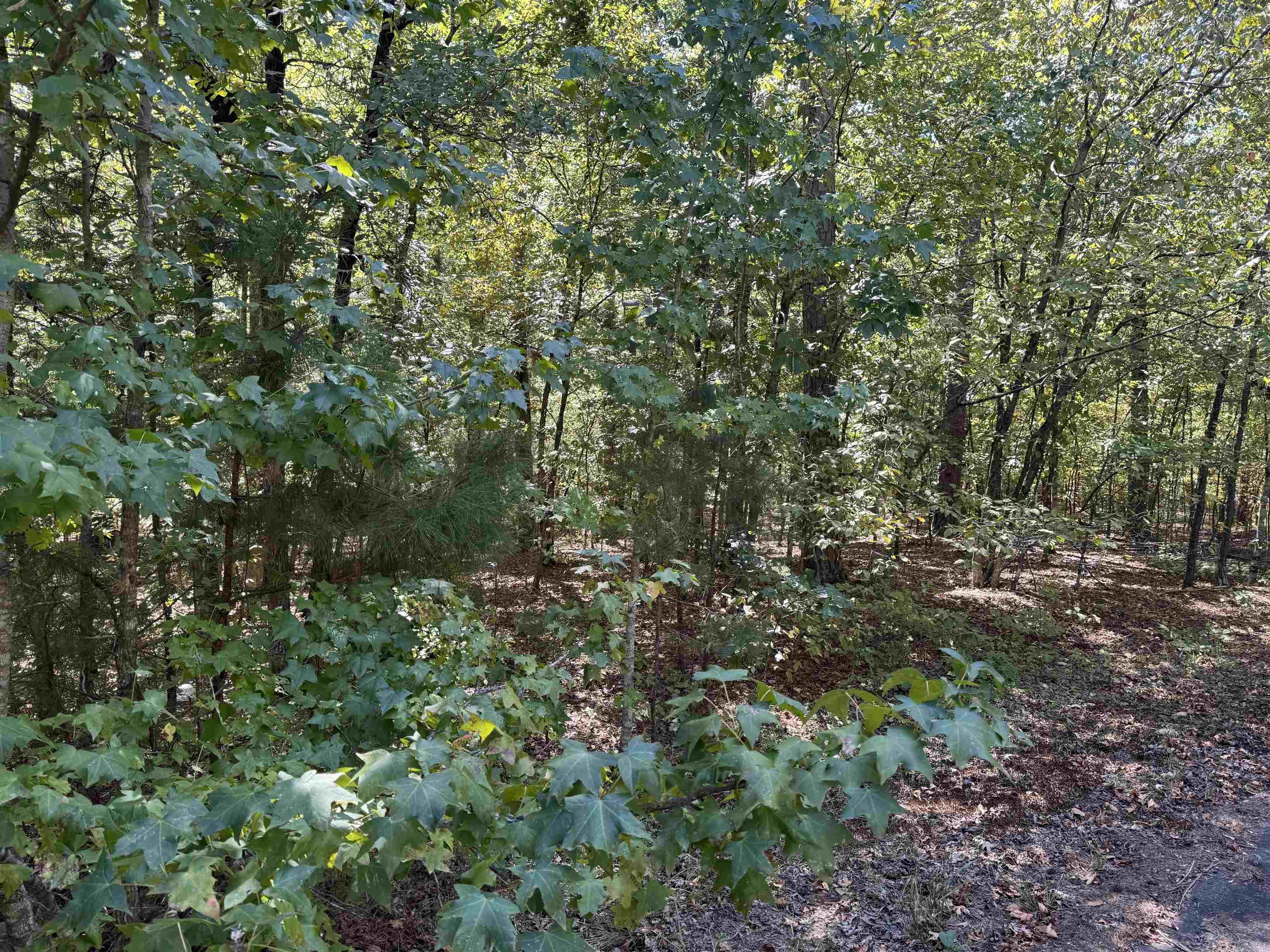 5 Ballobar Circle Property Photo 1