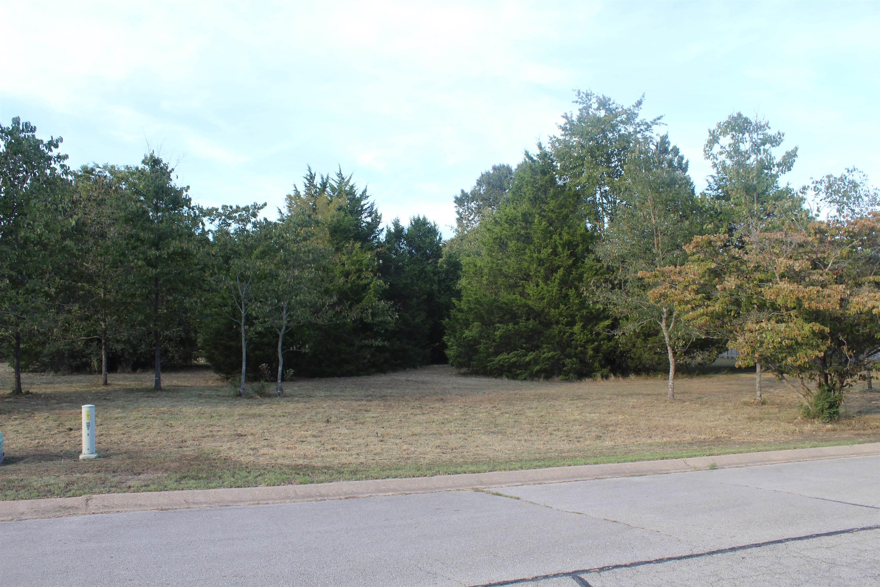 Lots 65 & 66 Winterview Property Photo 3
