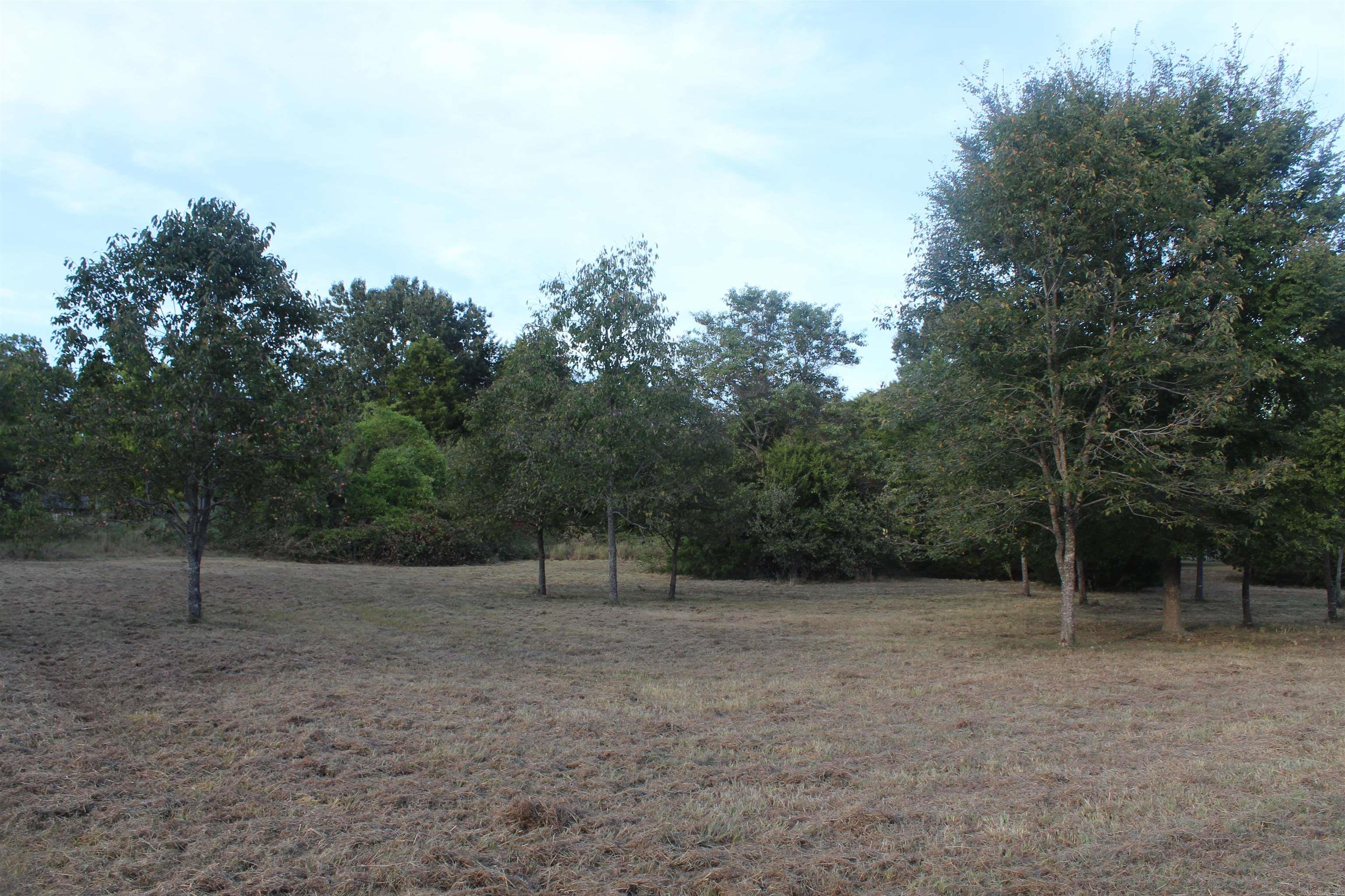 Lots 65 & 66 Winterview Property Photo 6