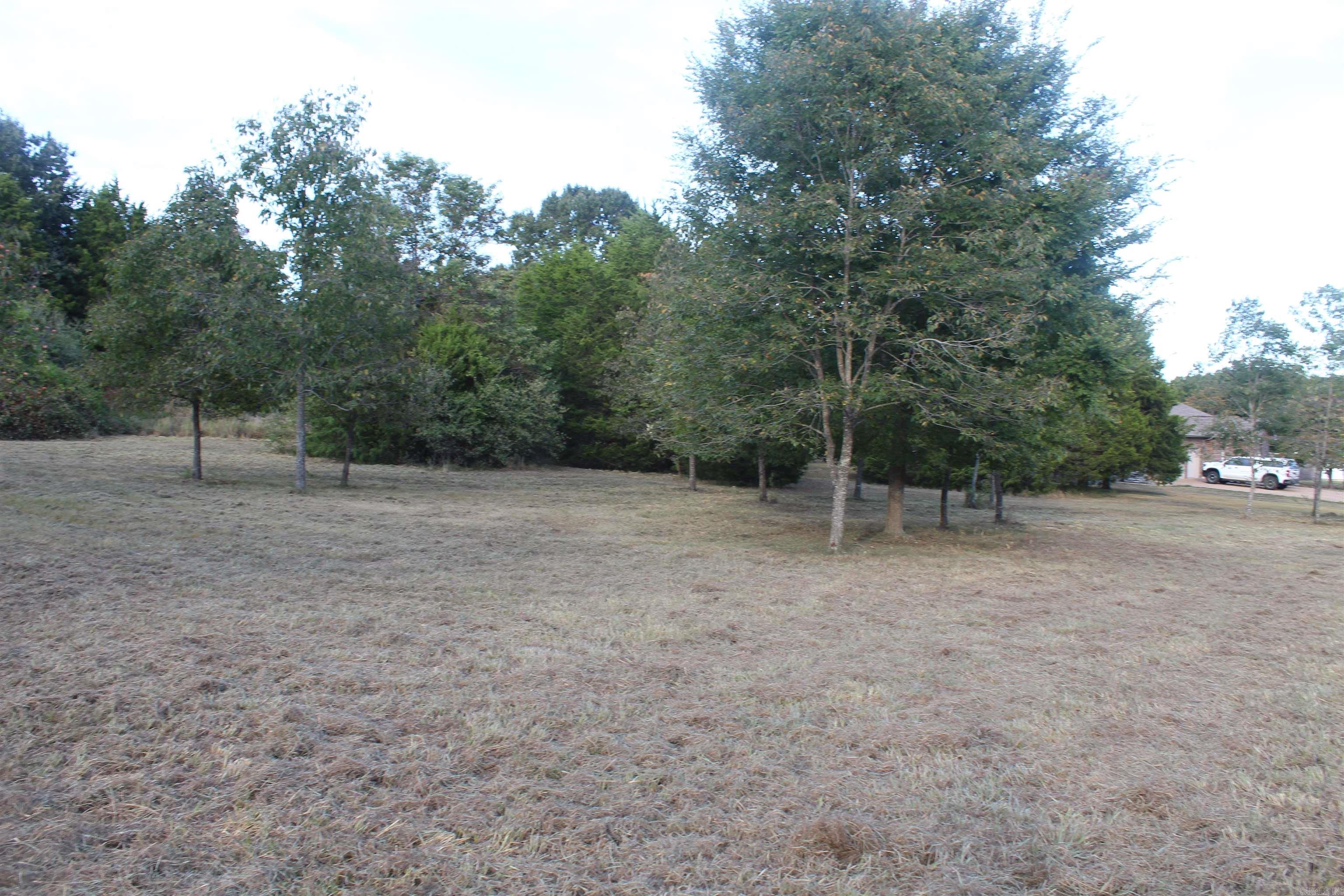 Lots 65 & 66 Winterview Property Photo 7