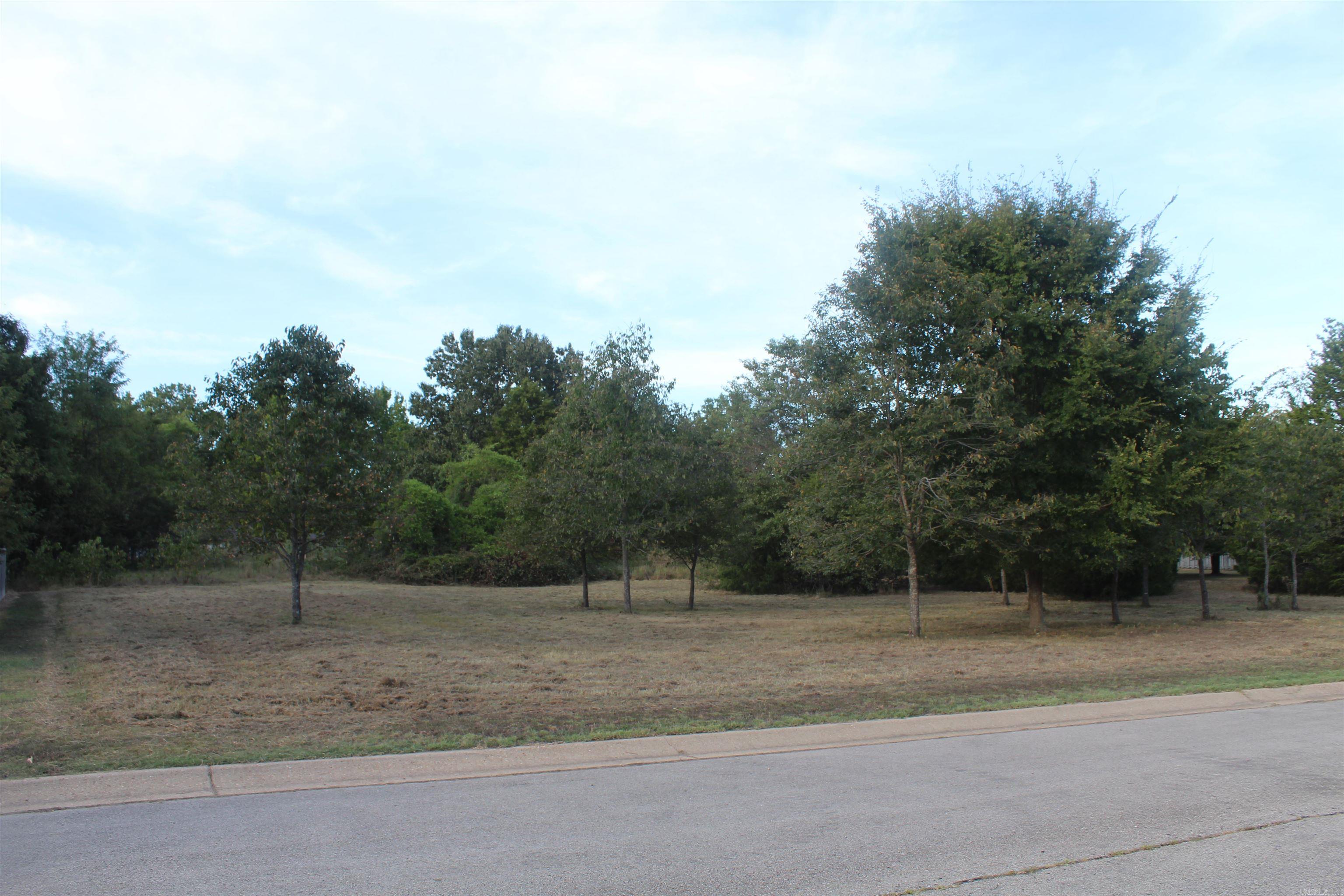 Lots 65 & 66 Winterview Property Photo 8