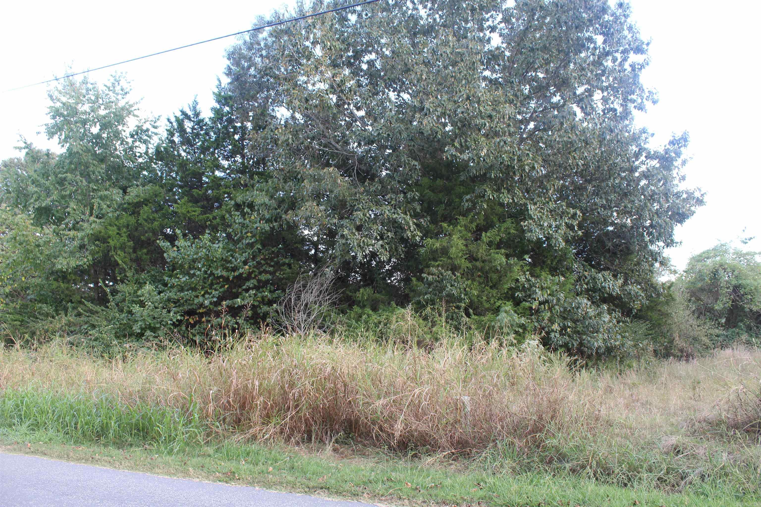 Lots 65 & 66 Winterview Property Photo 10