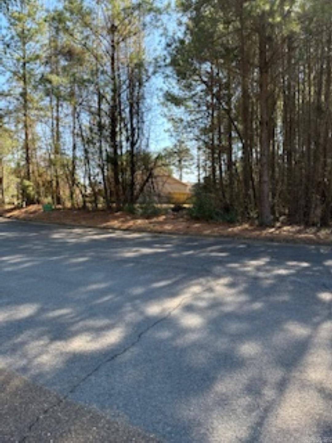 000 Peppertree/mockingbird/camellia Property Photo 8