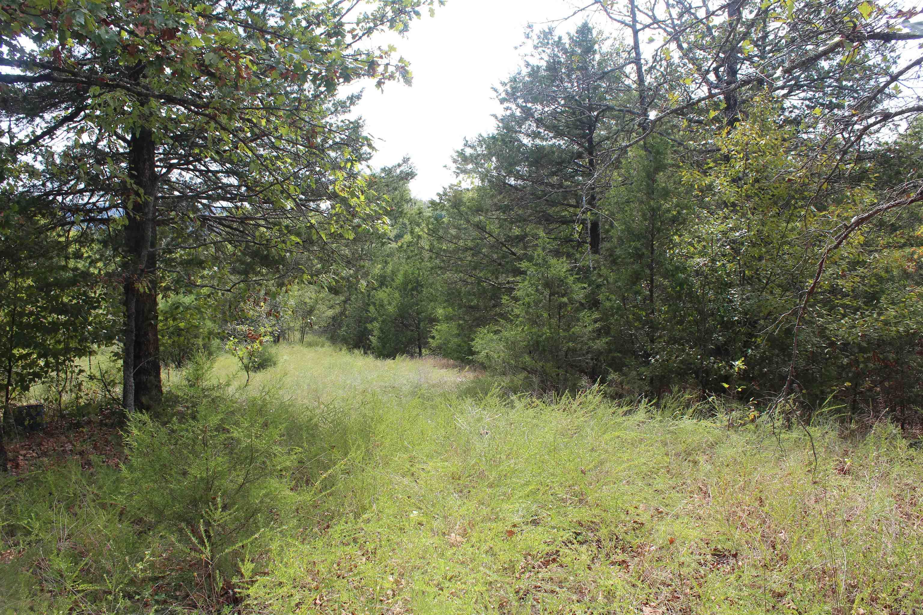 7727 Mc 6064 Property Photo 17